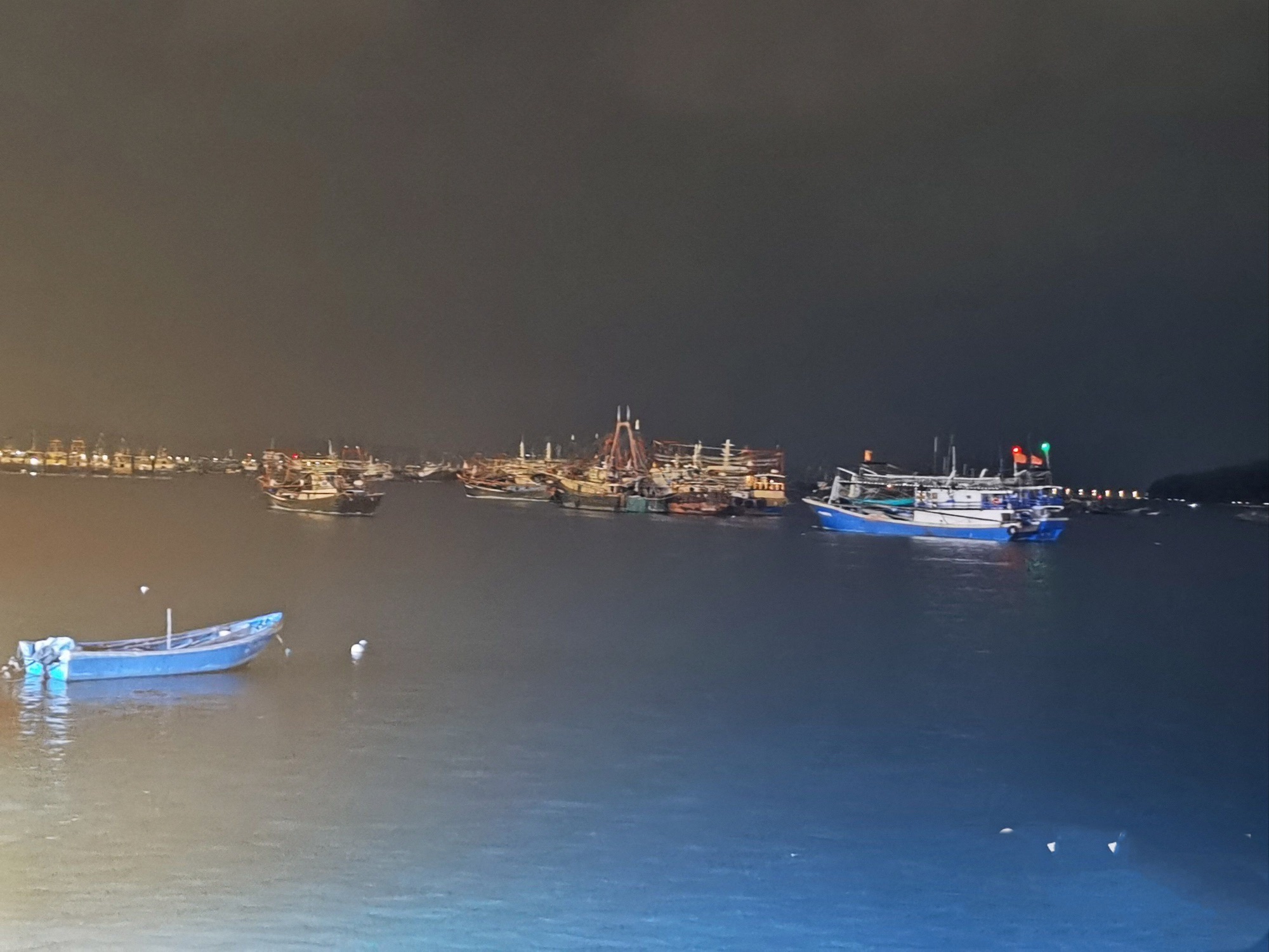 海滨公园旅行图片 3