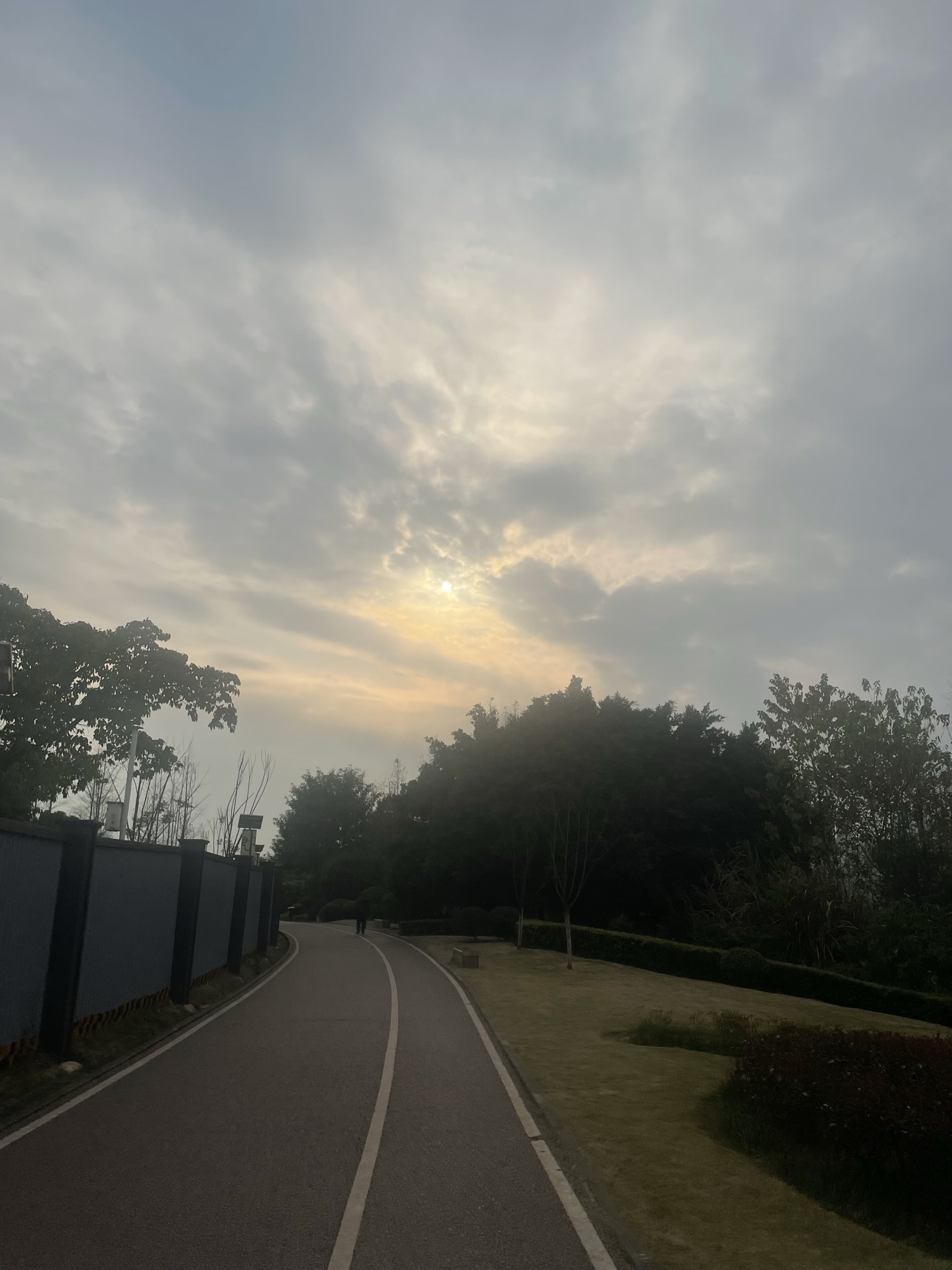 融汇茶花广场湿地公园旅行图片 3