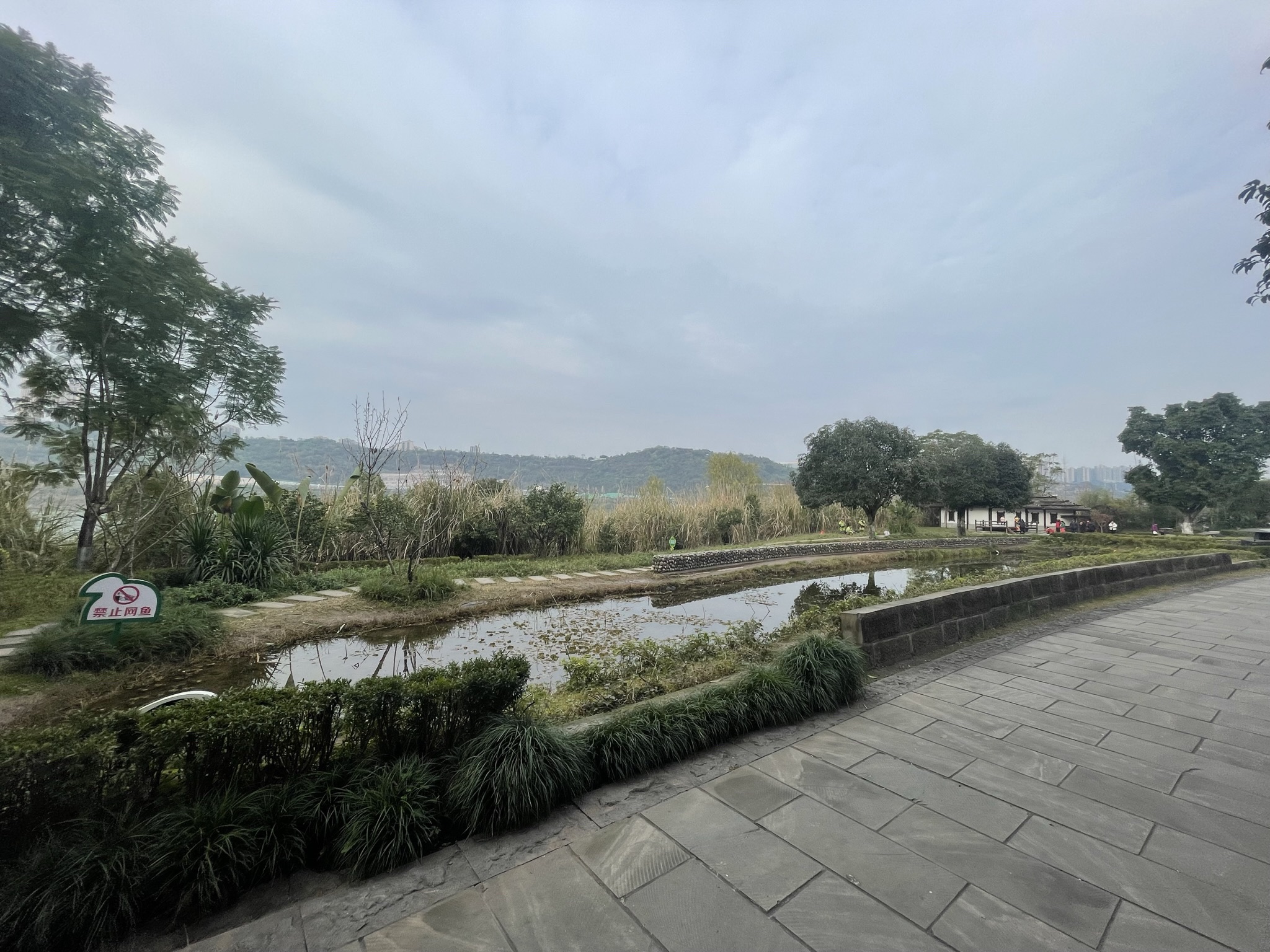 融汇茶花广场湿地公园旅行图片 2