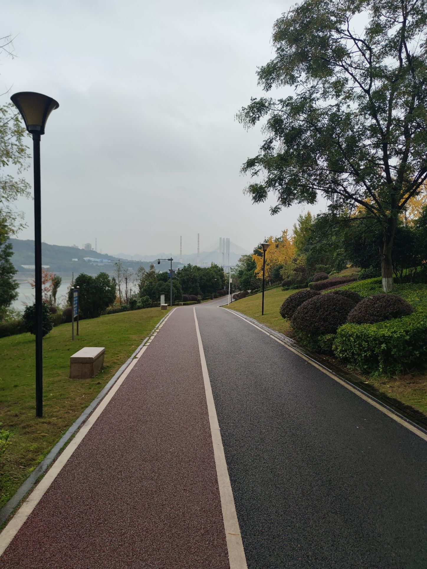 融汇茶花广场湿地公园旅行图片 3
