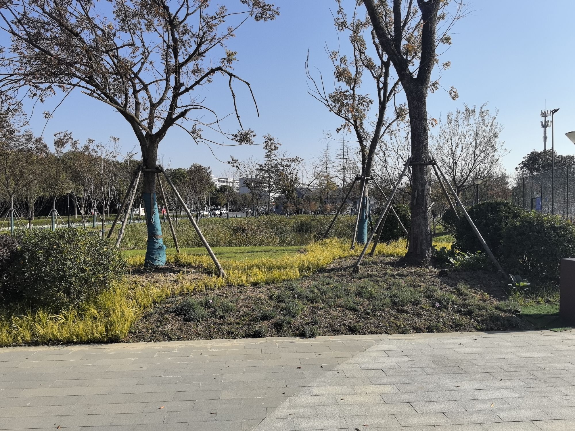 宝应经济开发区学超公园旅行图片 1