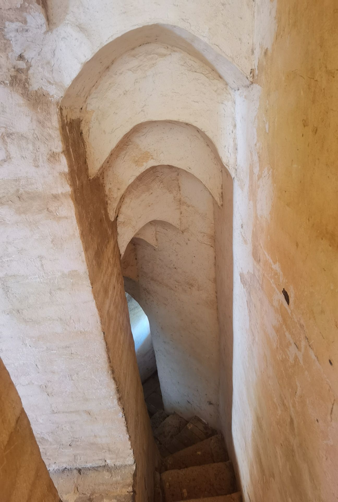 龙头山塔旅行图片 2