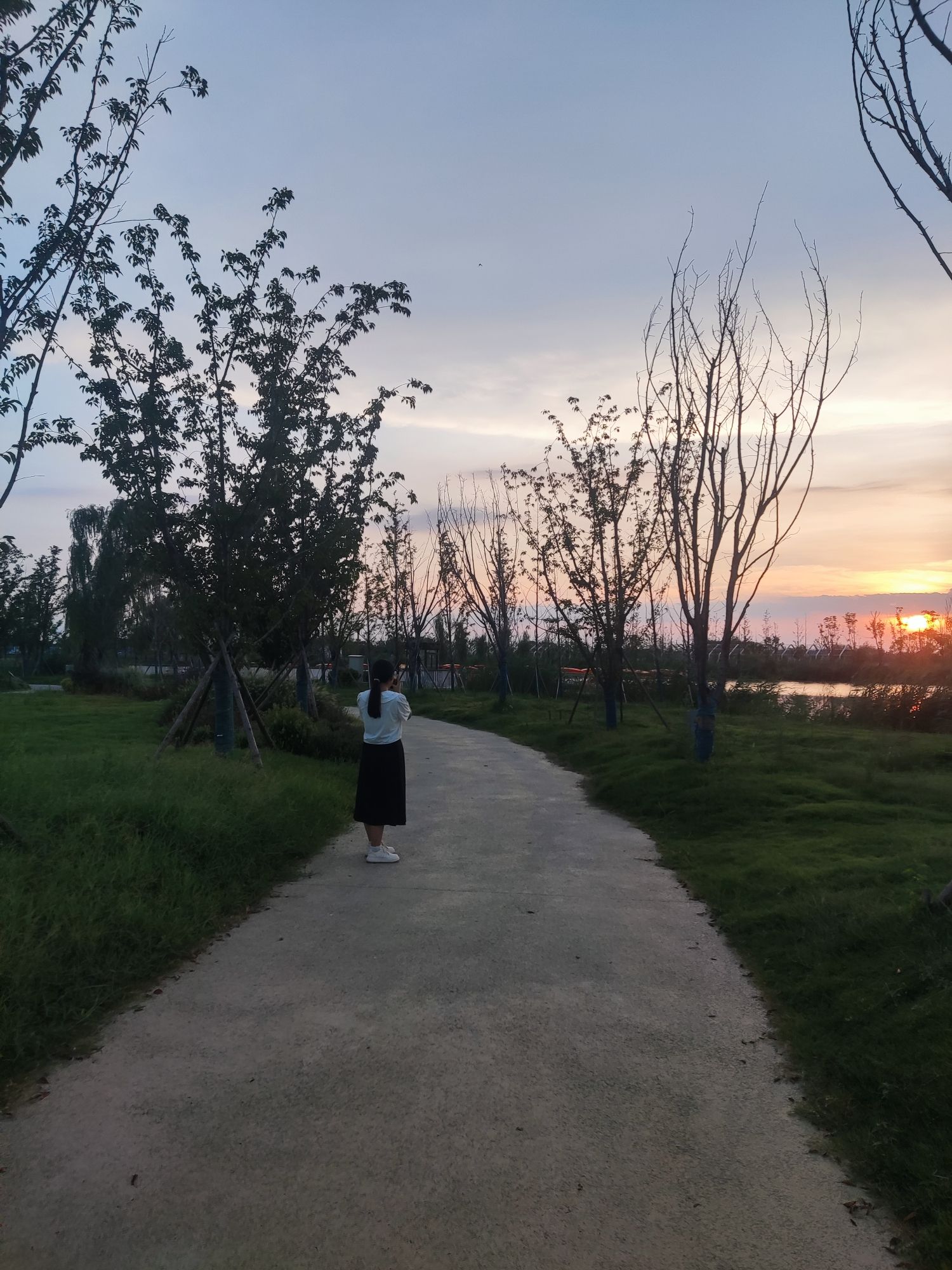 旧城湿地公园旅行图片 3