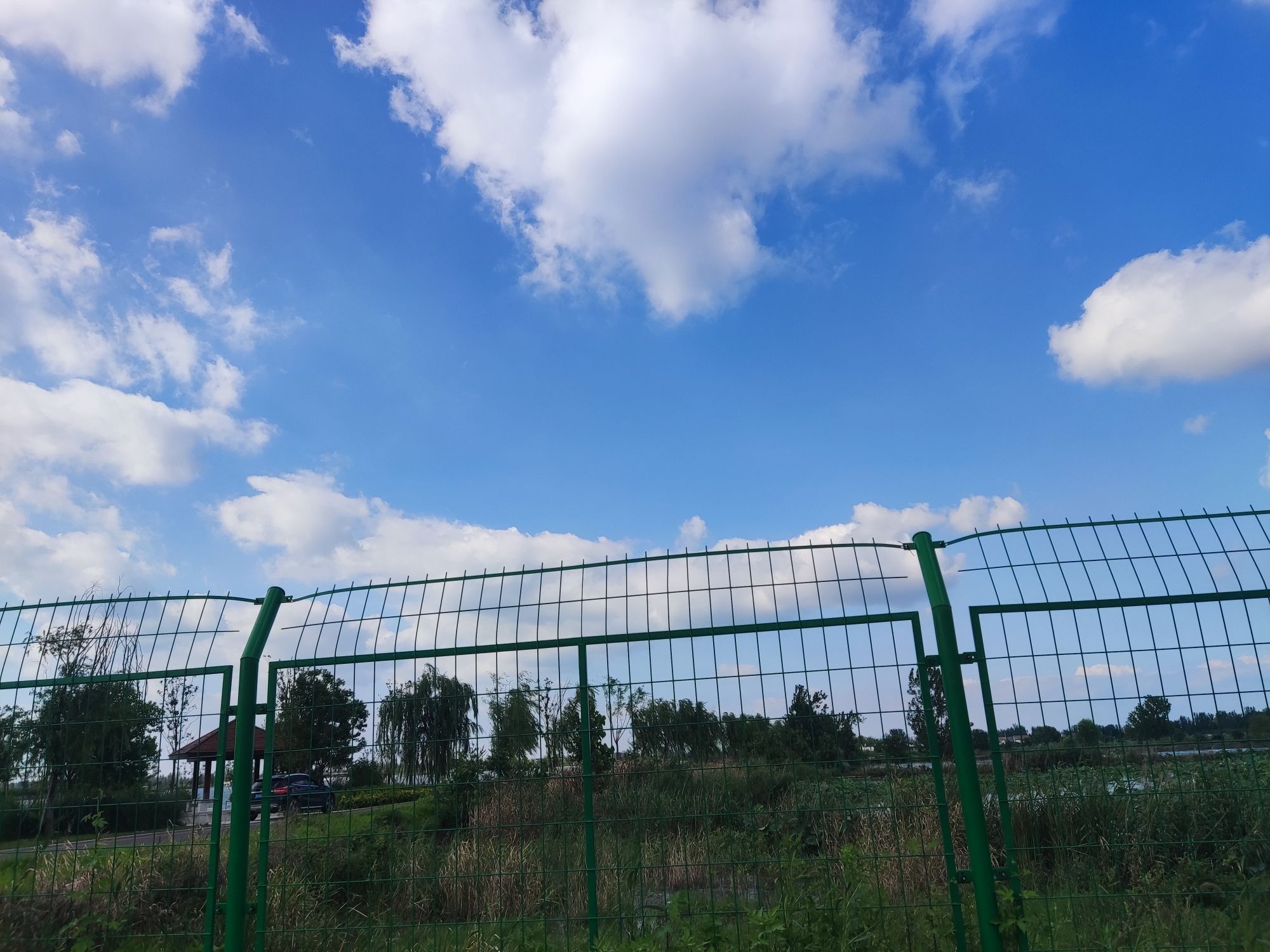 旧城湿地公园旅行图片 2