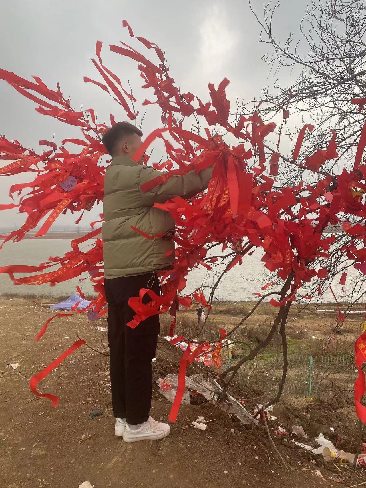 阜南县许愿树旅行图片 1