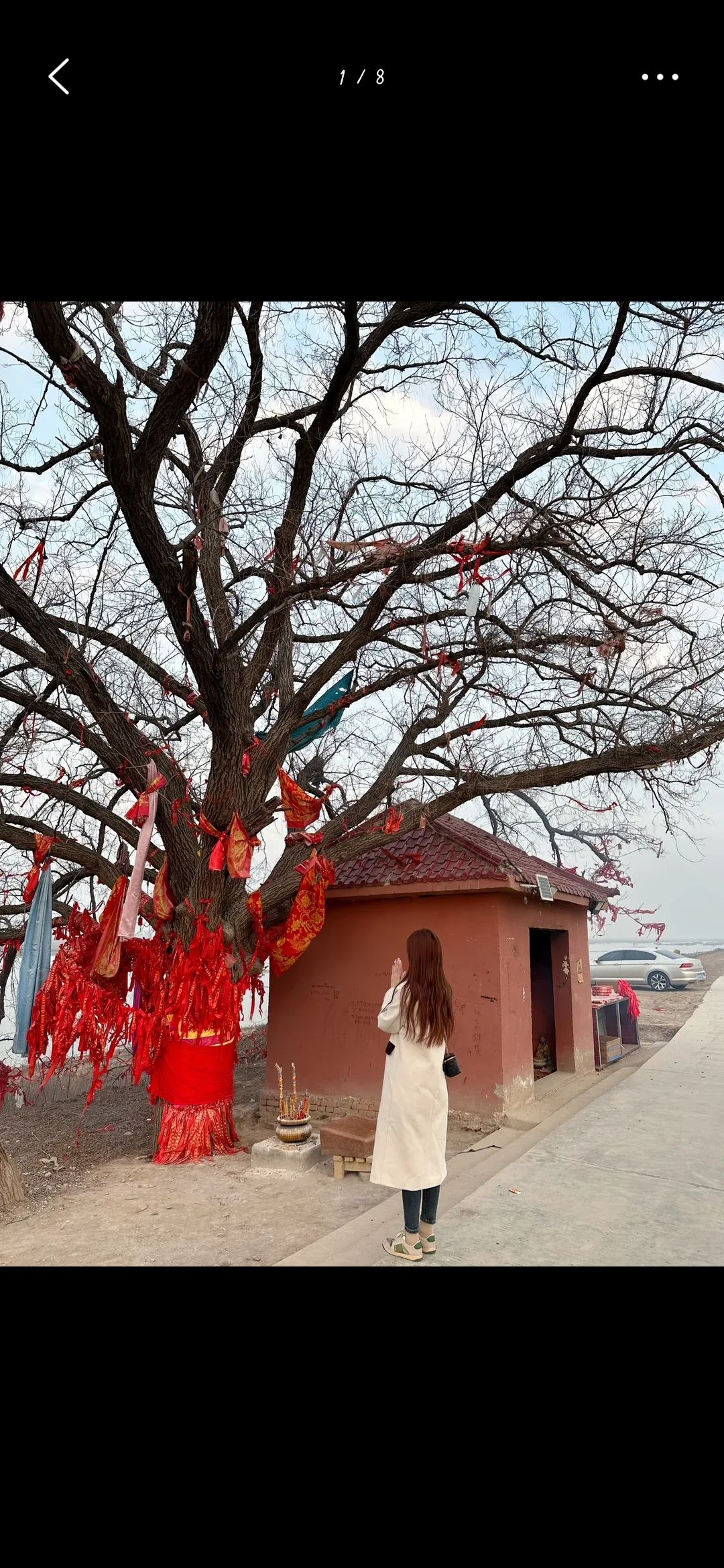 阜南县许愿树旅行图片 2