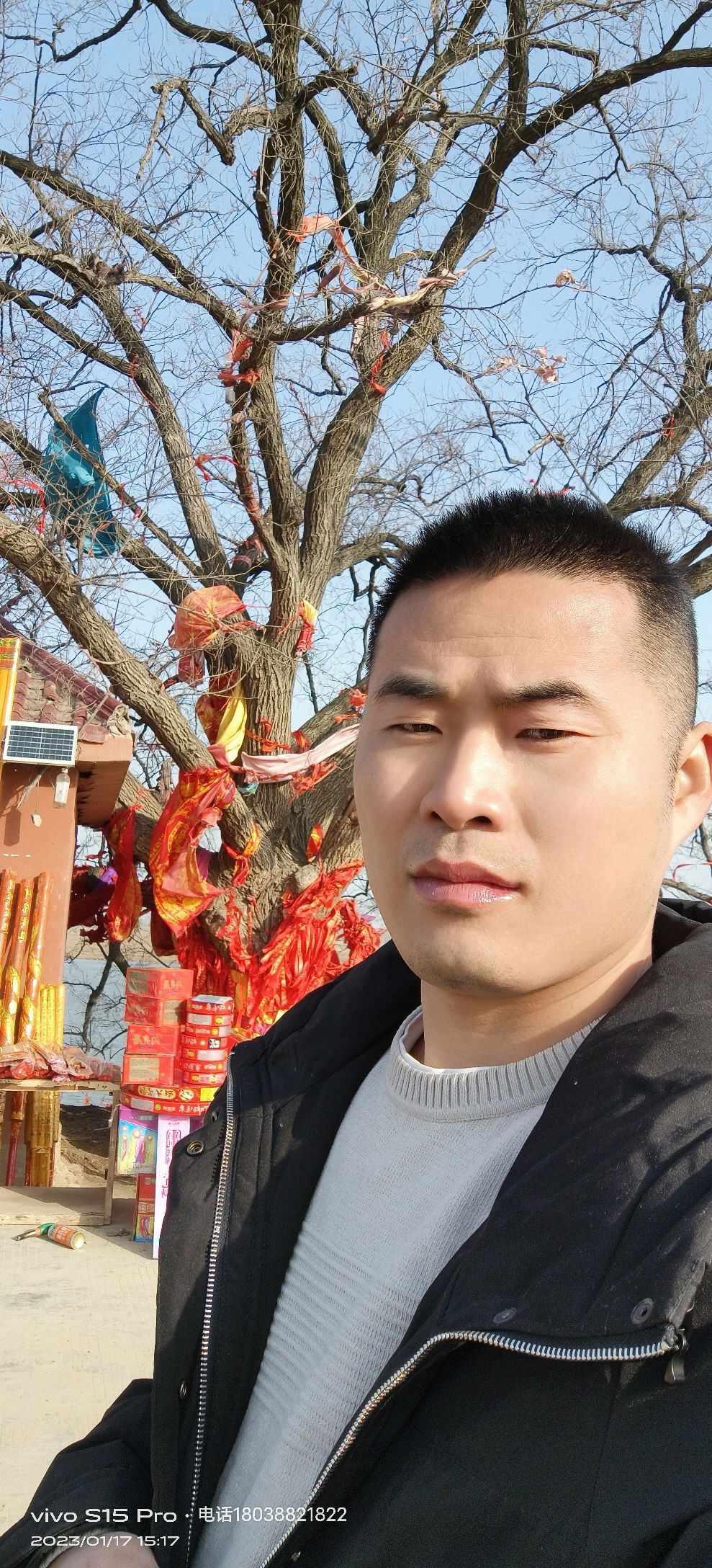 阜南县许愿树旅行图片 1