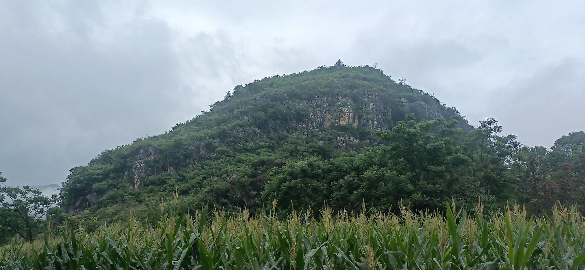 白米石山