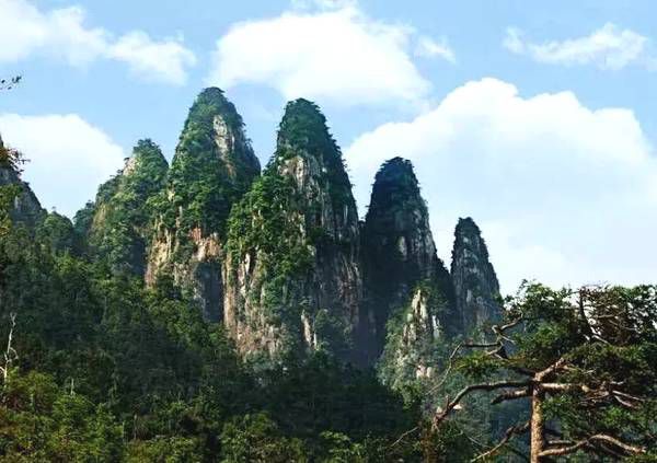 五指山森林公园旅行图片 2