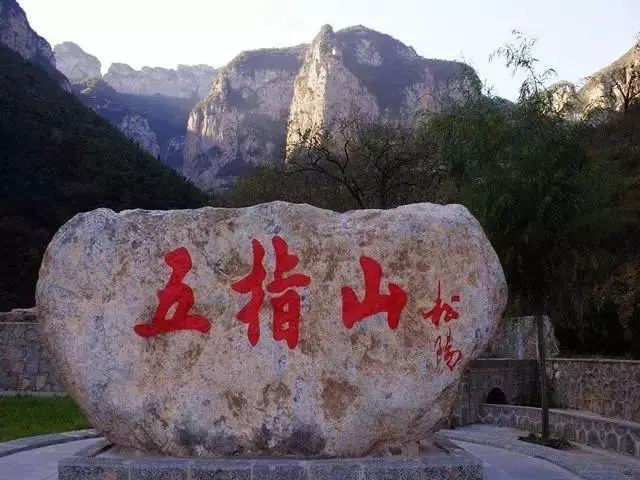 五指山森林公园旅行图片 3
