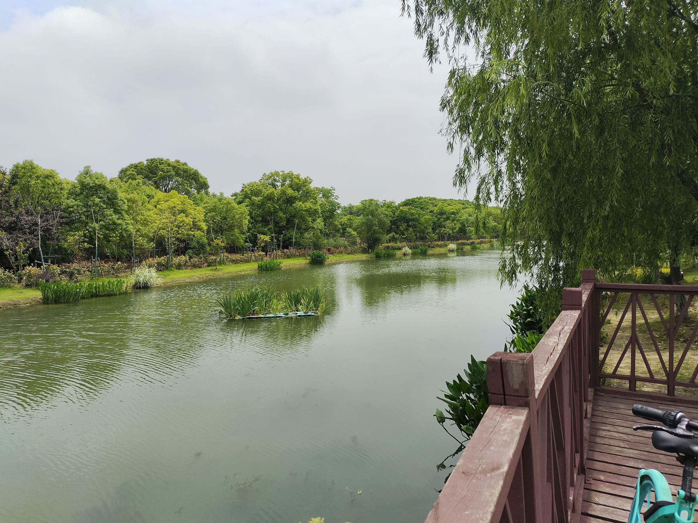 长美绿地旅行图片 2