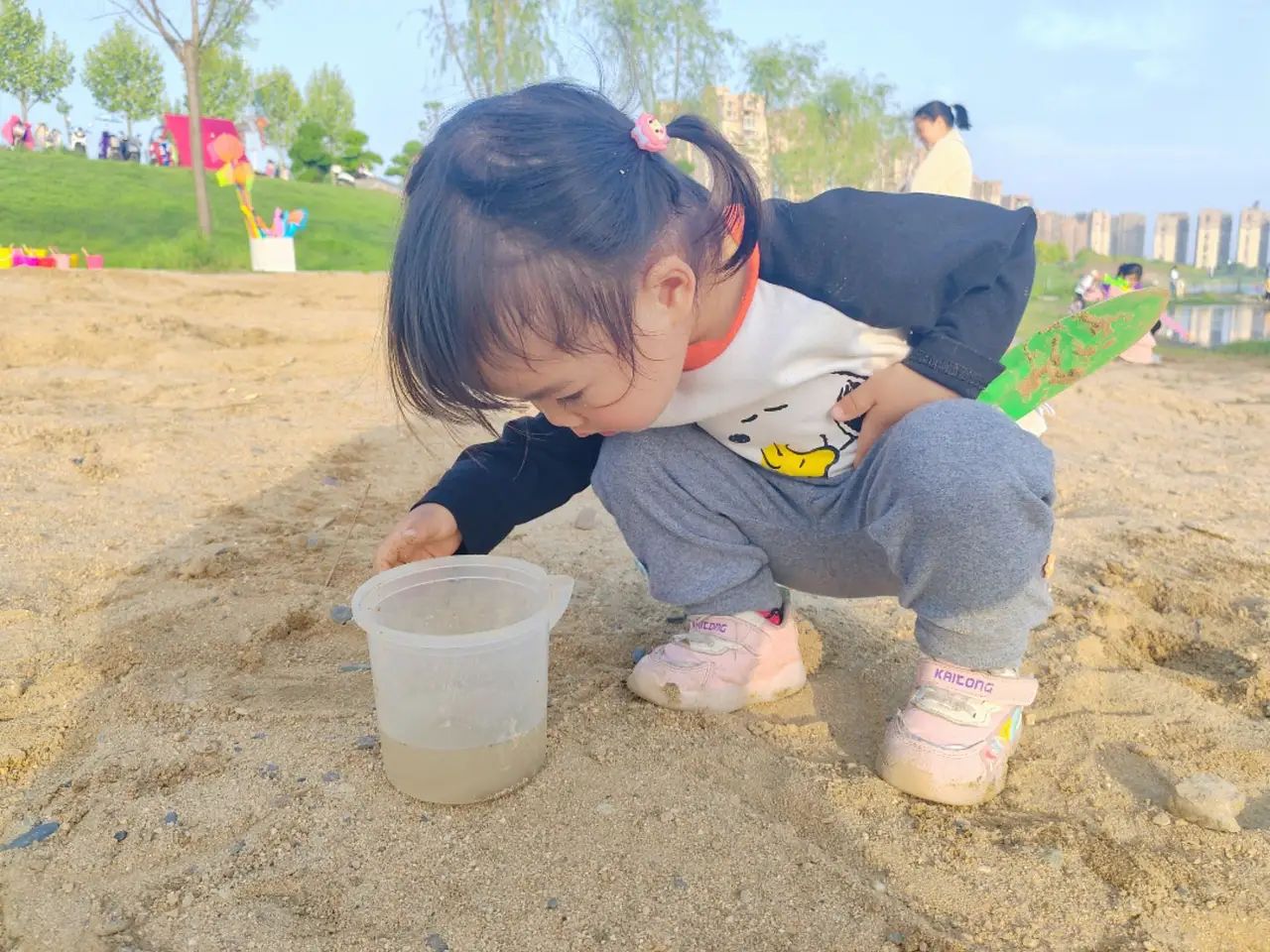 大湖沙滩旅行图片 3