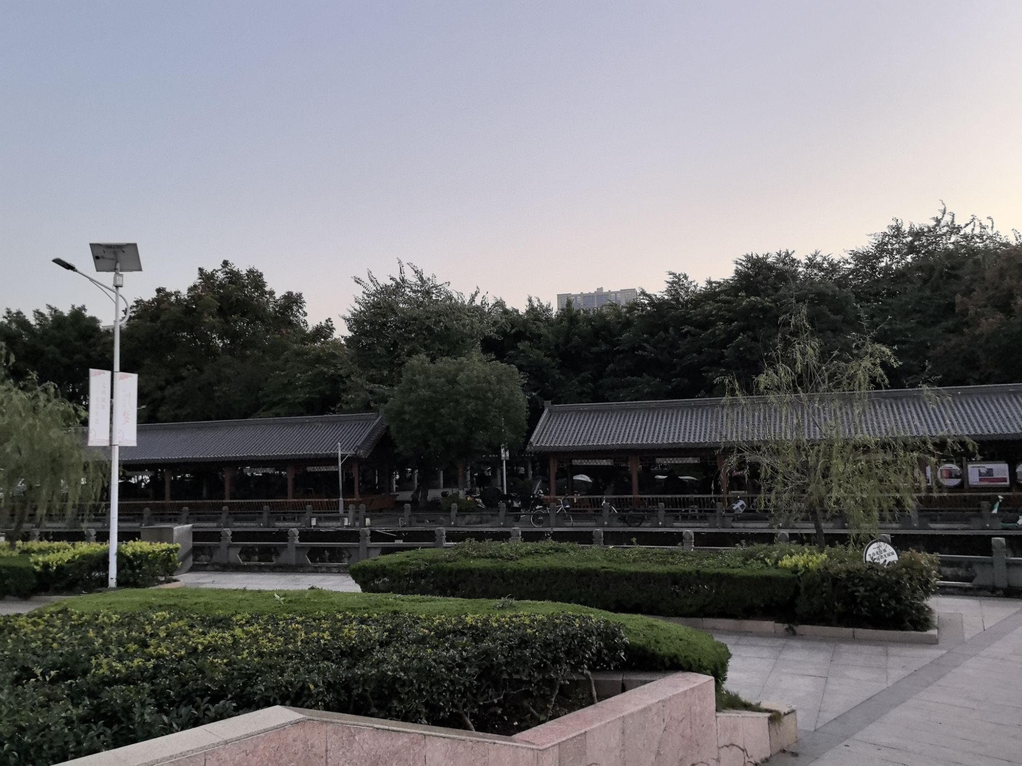 莘兴公园旅行图片 3