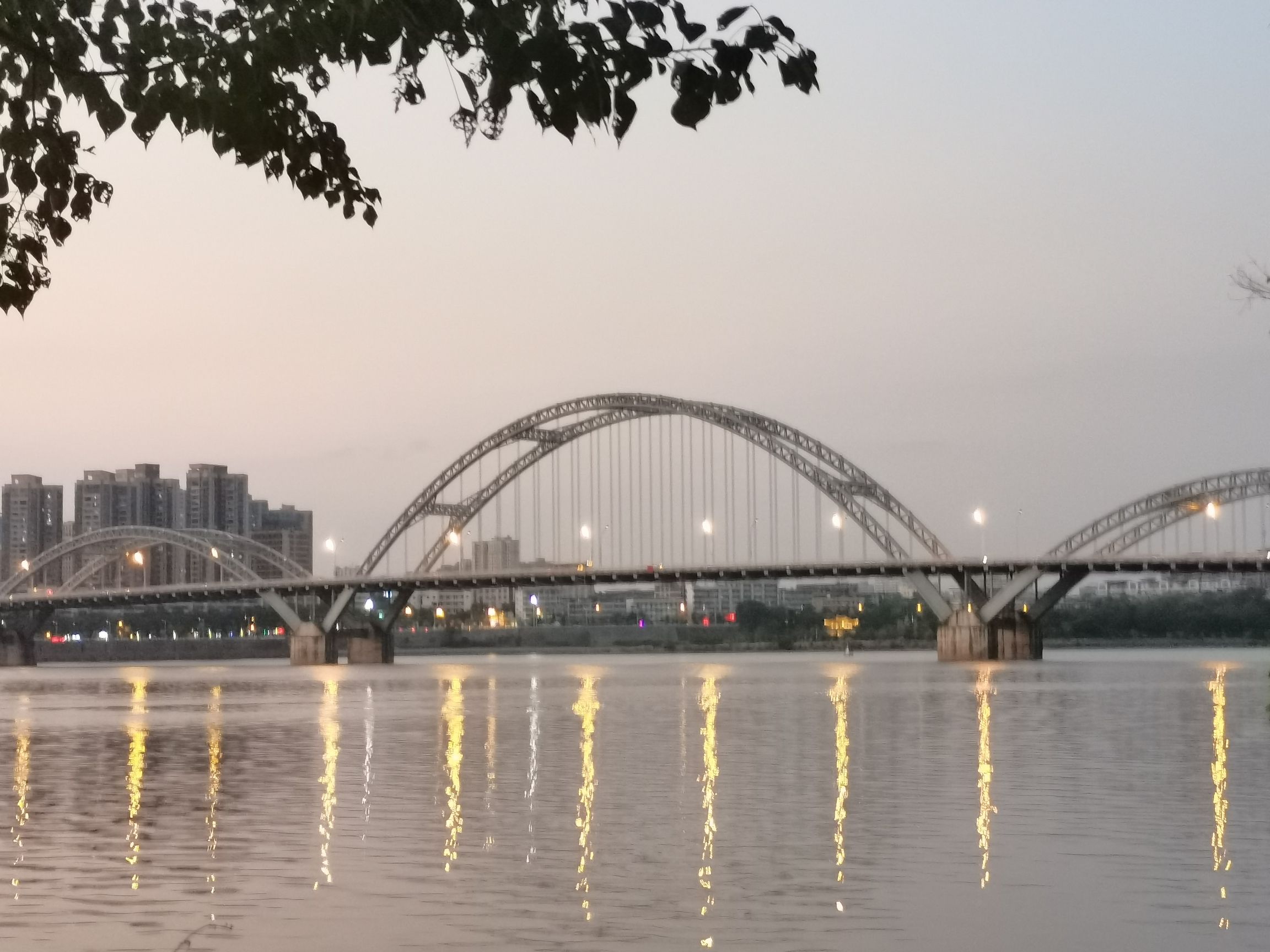 滨江生态公园旅行图片 2