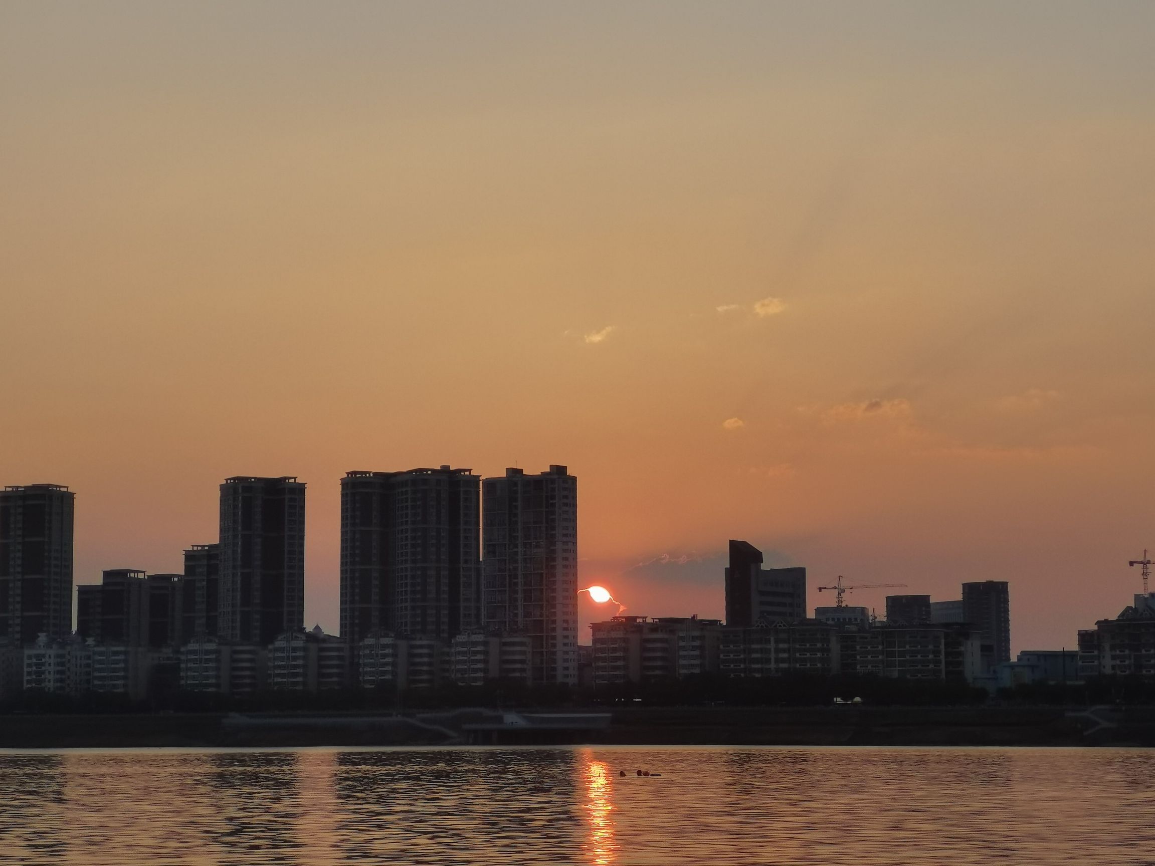 滨江生态公园旅行图片 1