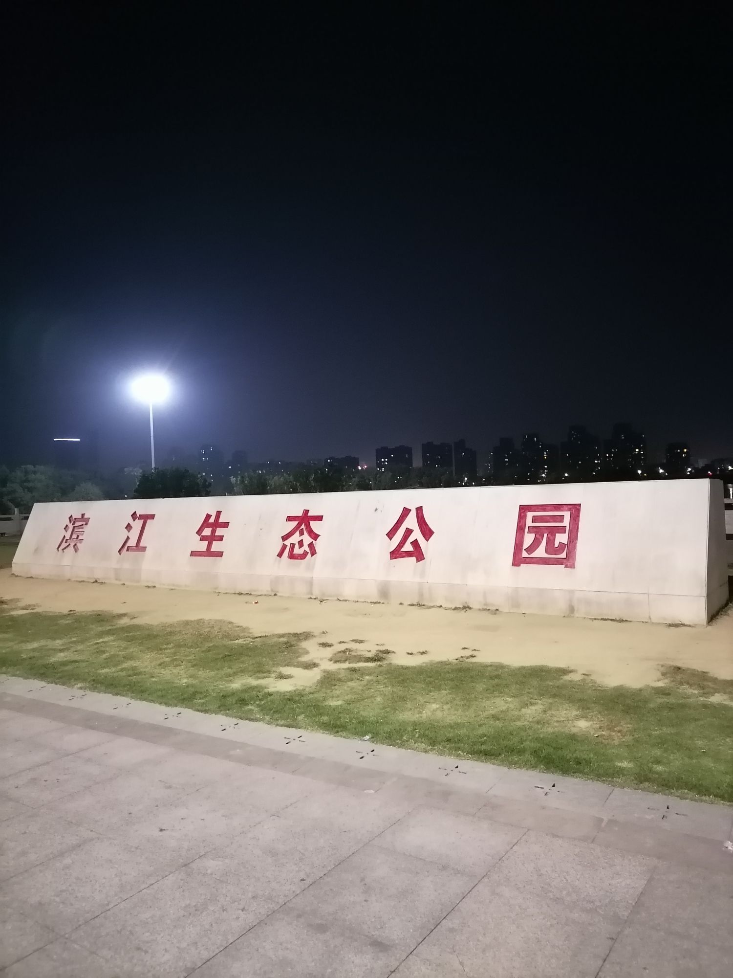 滨江生态公园旅行图片 1
