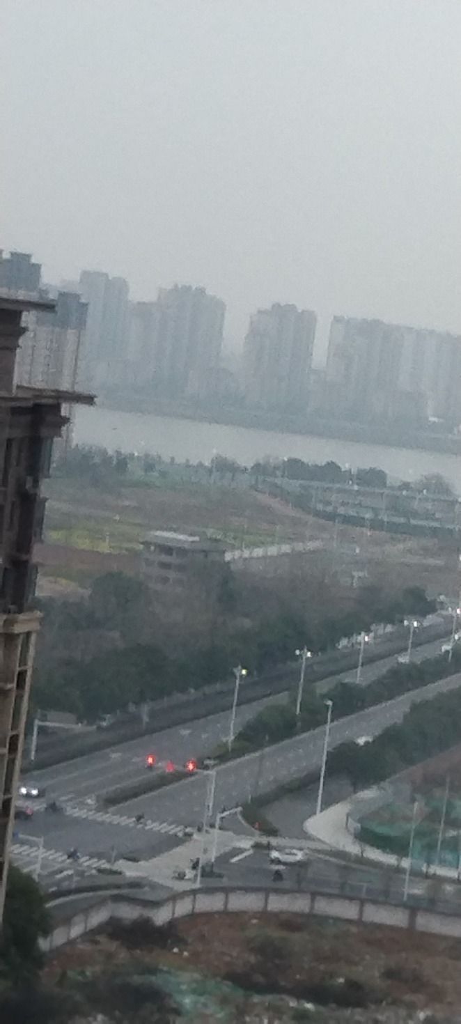 滨江生态公园旅行图片 1