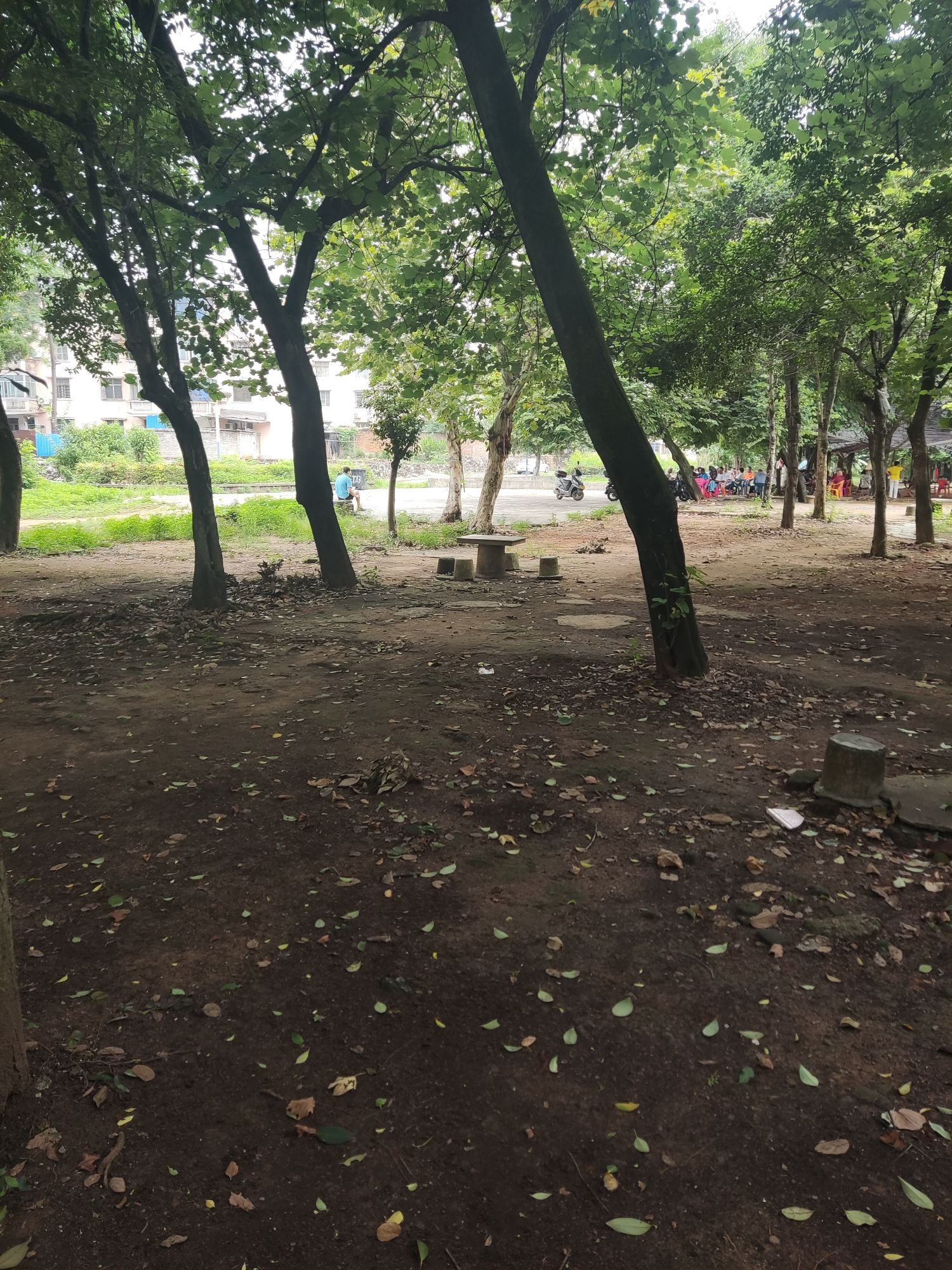 松山下大坑塘园山森林公园旅行图片 1
