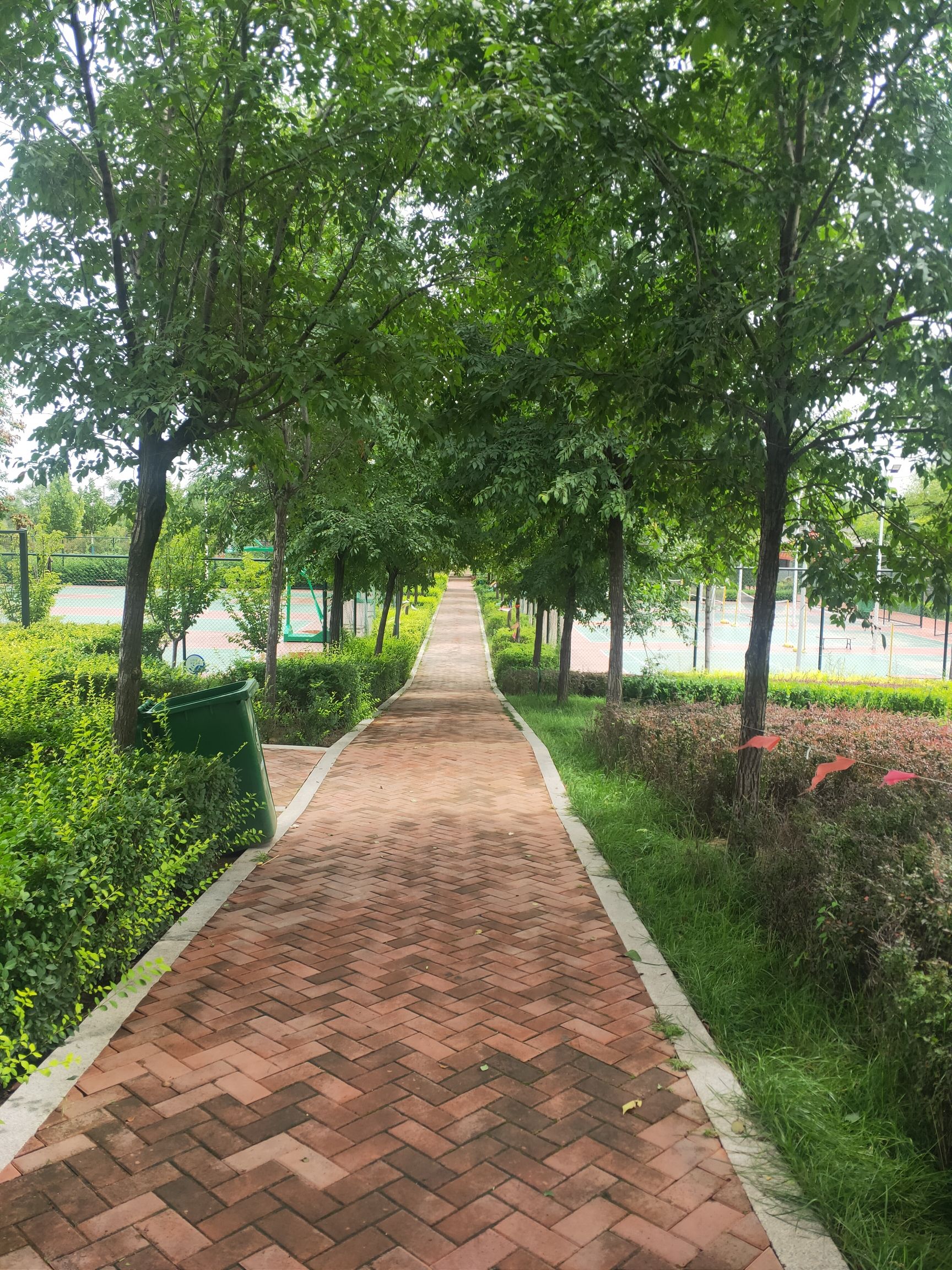 御庭华府广场旅行图片 1