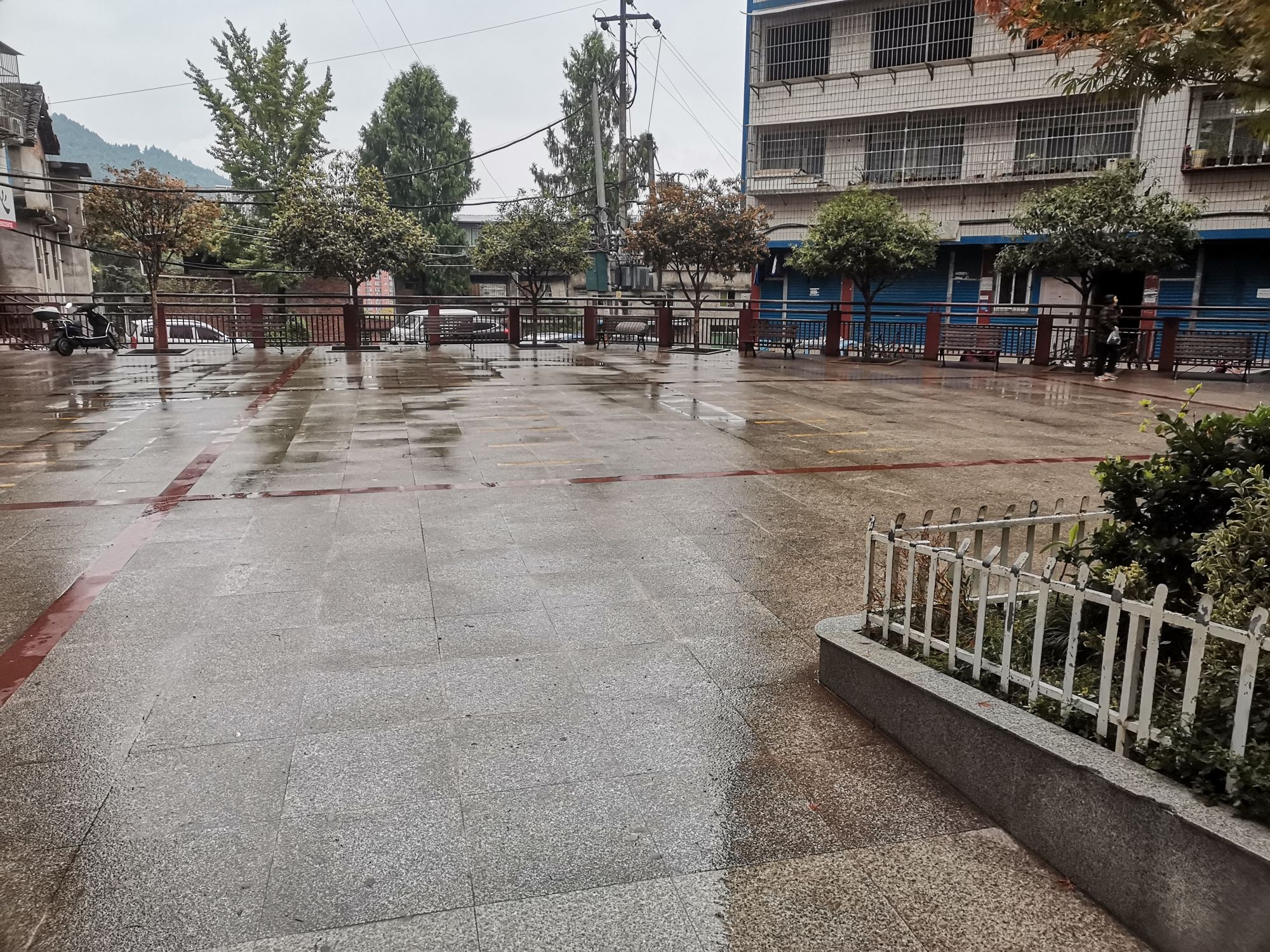 西寺广场旅行图片 1
