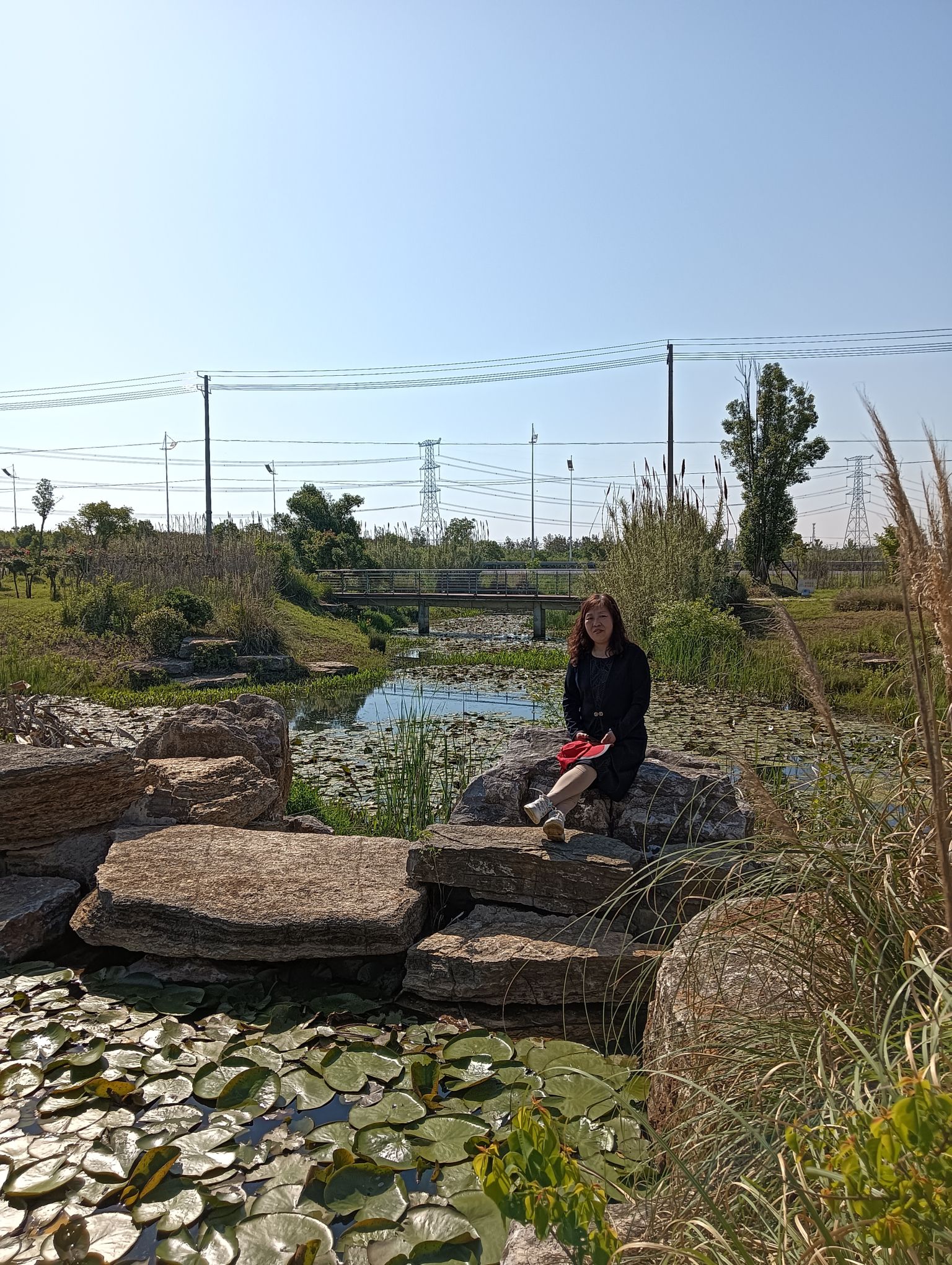 朱雀湖公园旅行图片 2