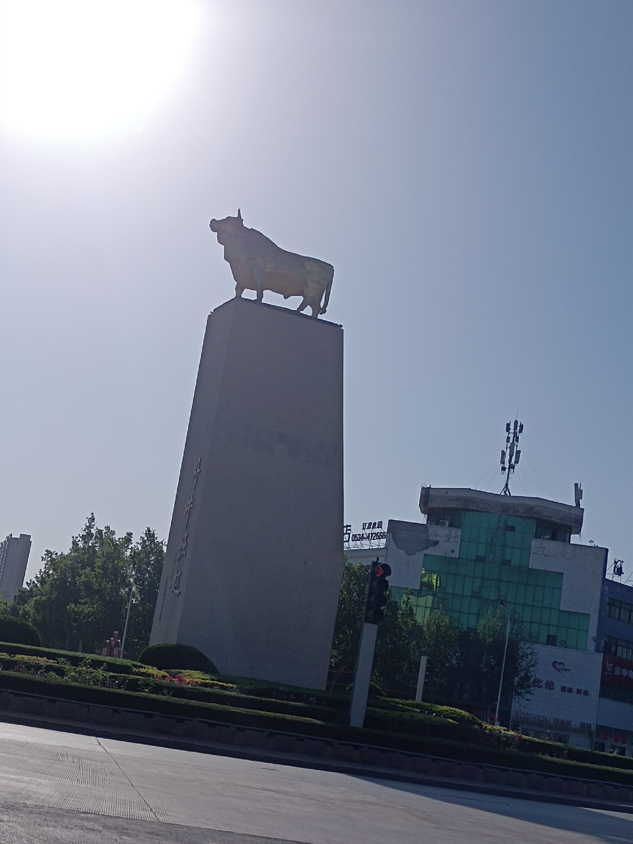 卧牛崛起旅行图片 2