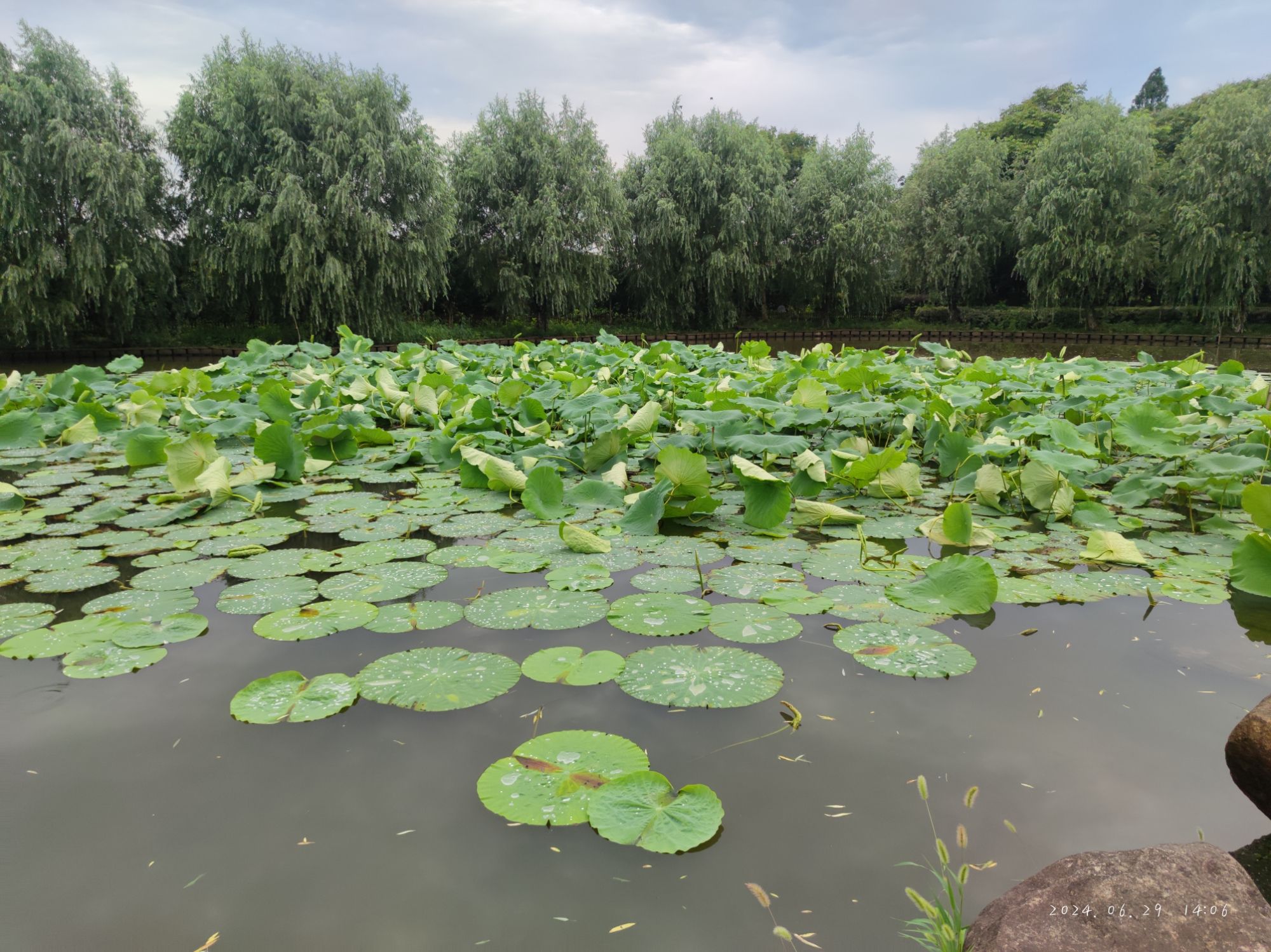 越王公园旅行图片 2