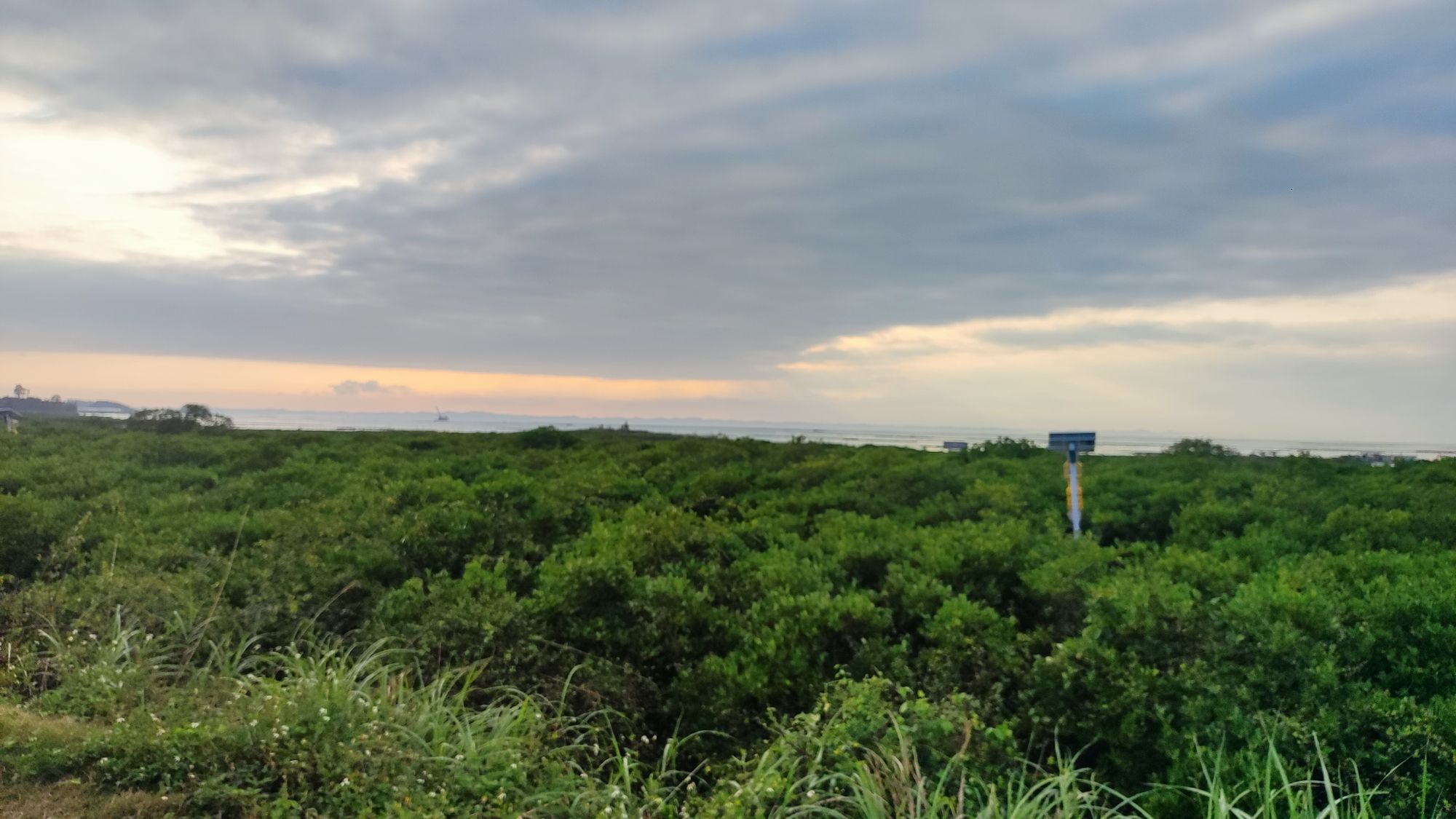 茅尾海国家海洋公园旅行图片 3