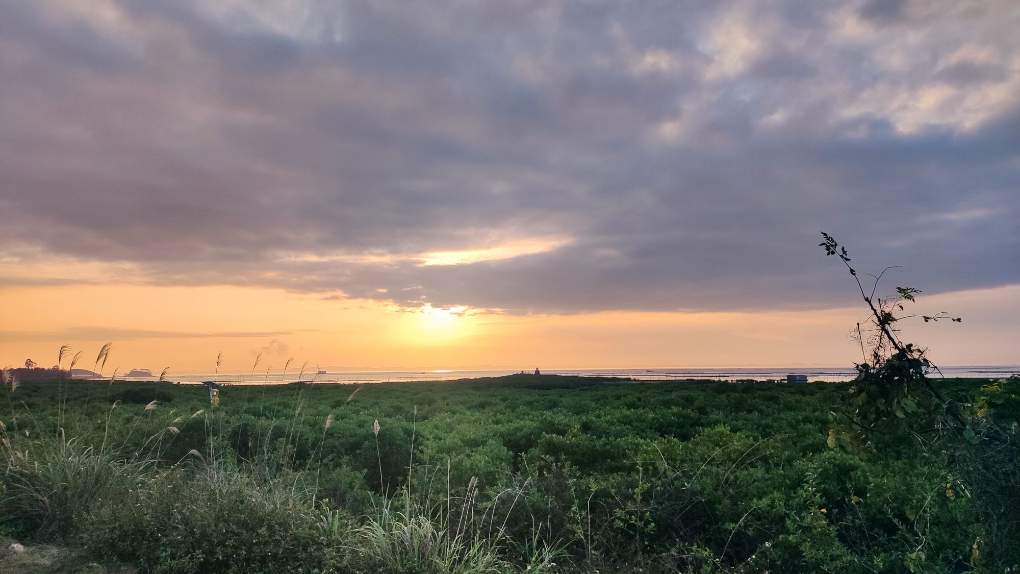 茅尾海国家海洋公园旅行图片 2