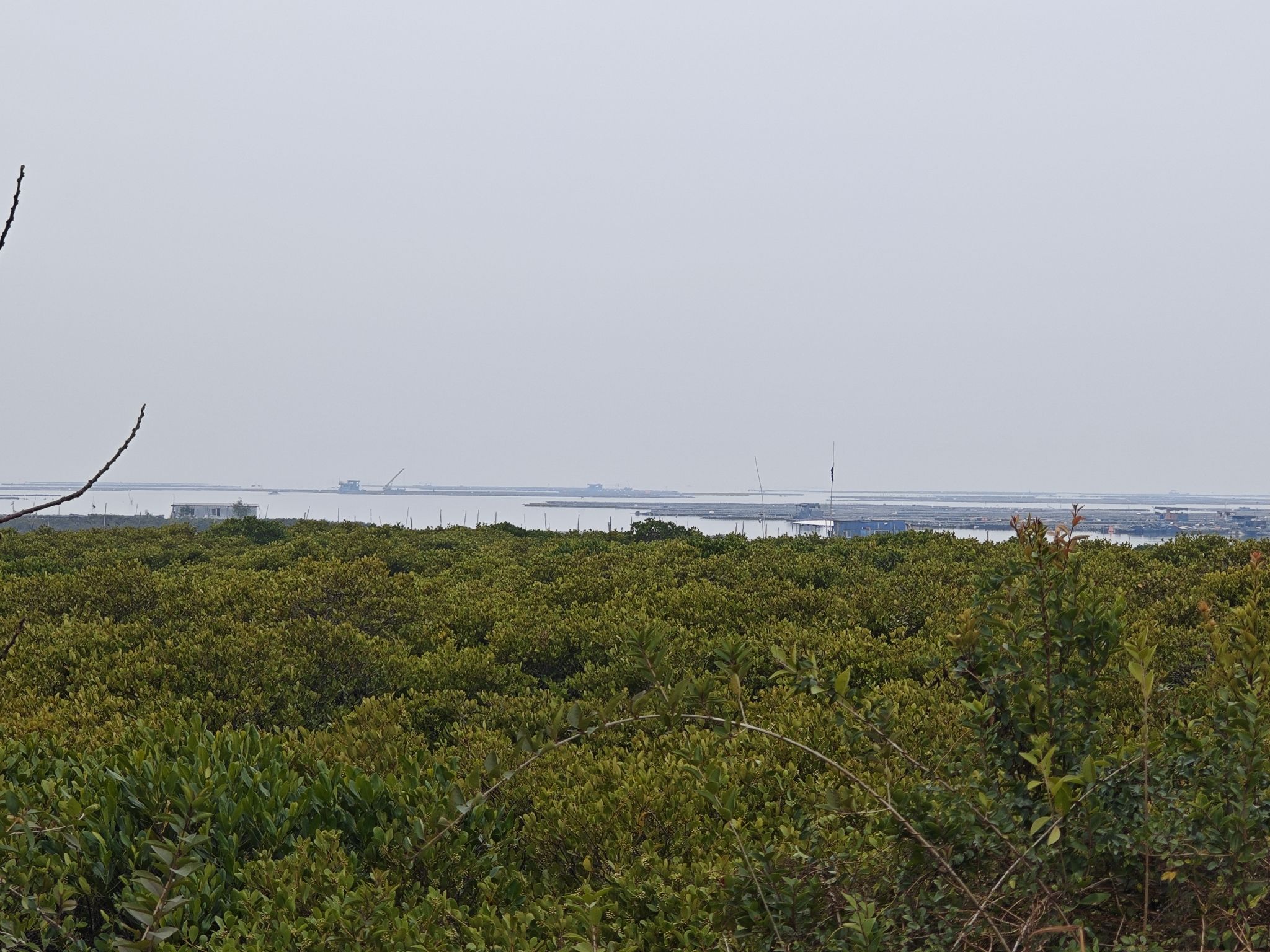 茅尾海国家海洋公园旅行图片 3