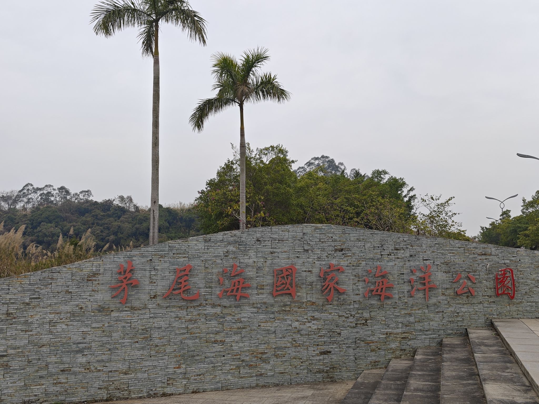 茅尾海国家海洋公园旅行图片 1