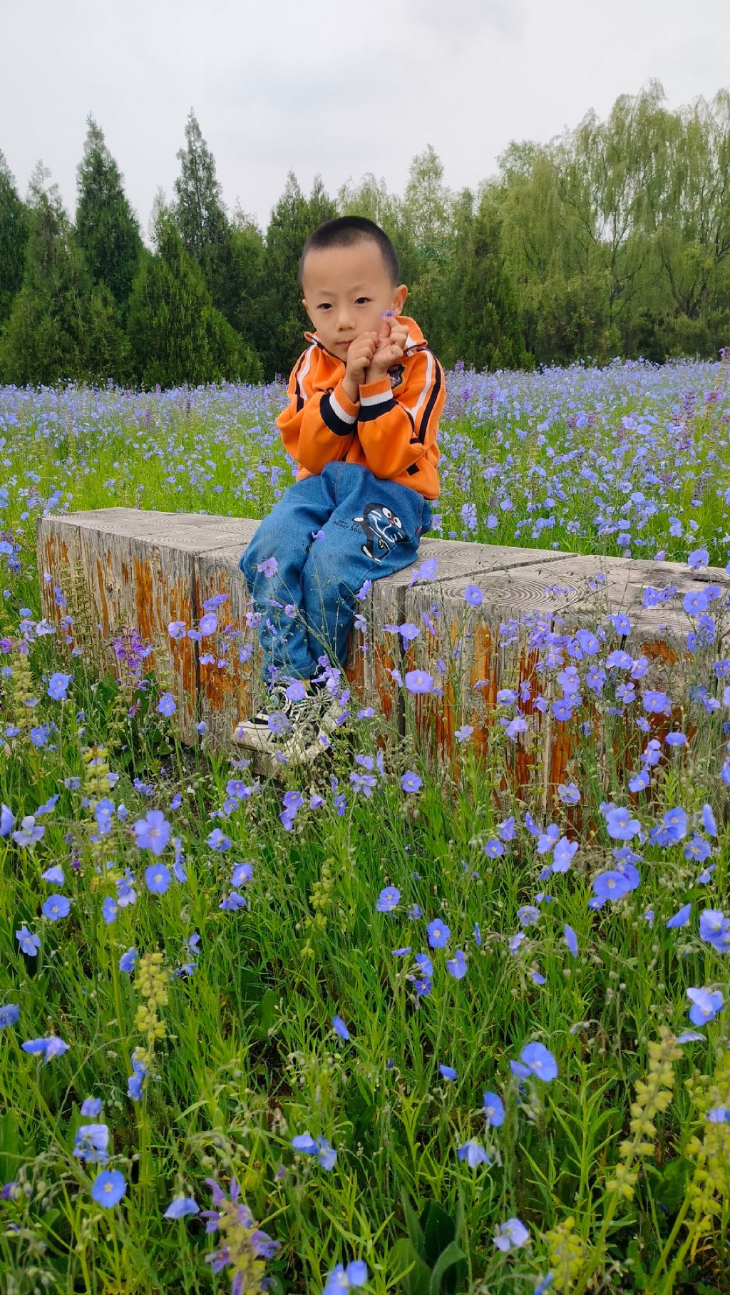 双拥主题公园旅行图片 3