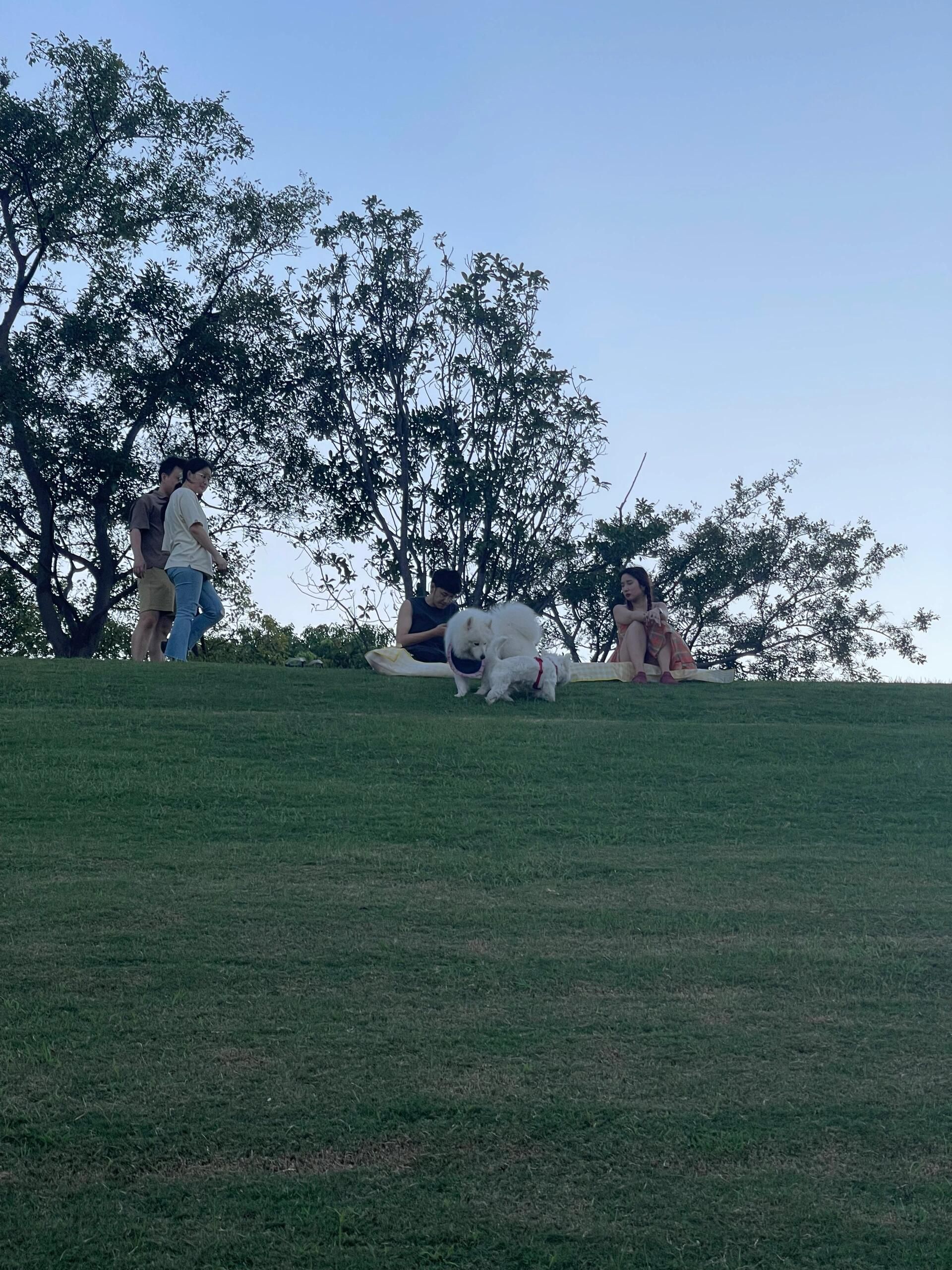 浦康休闲公园旅行图片 3