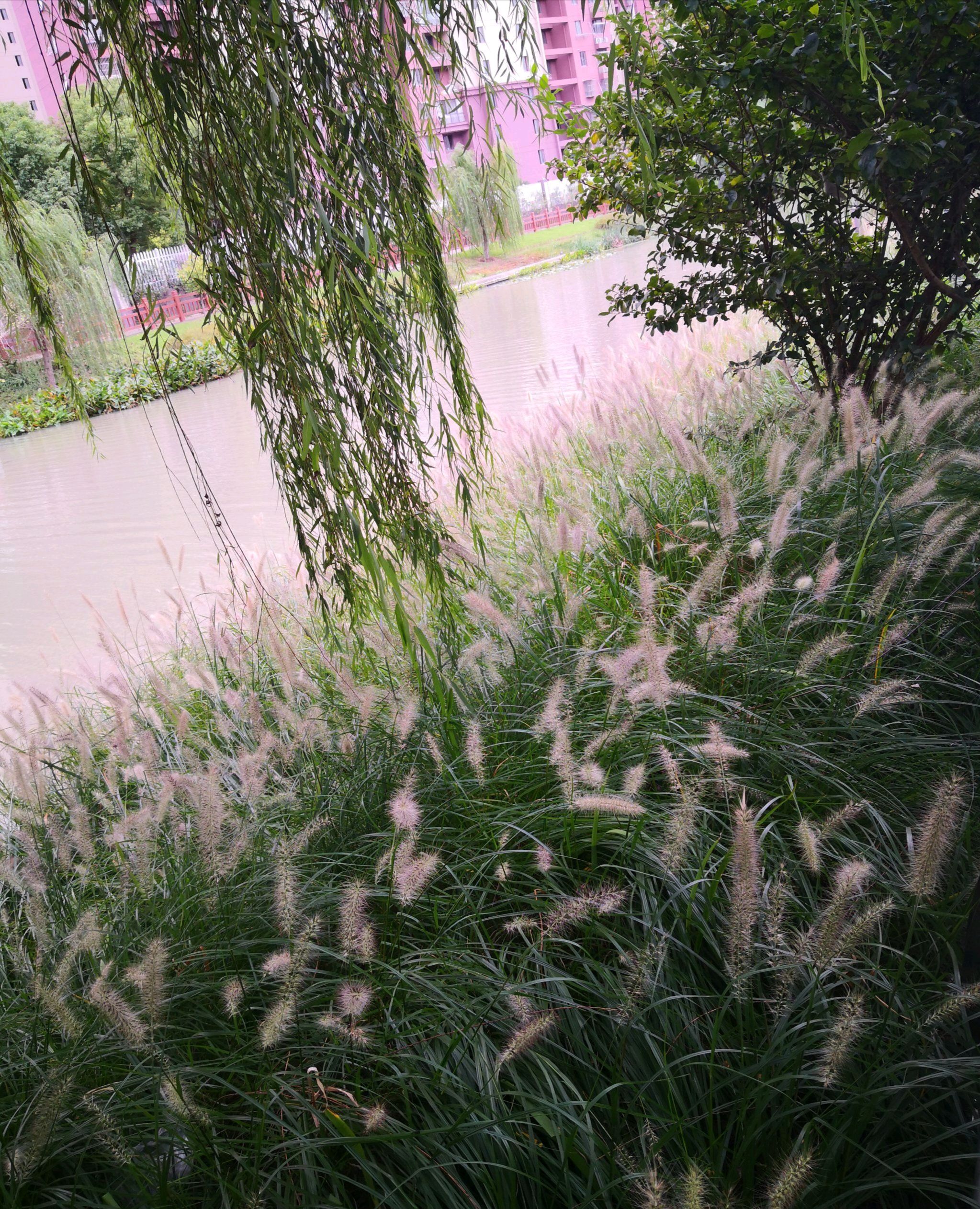 浦康休闲公园旅行图片 3