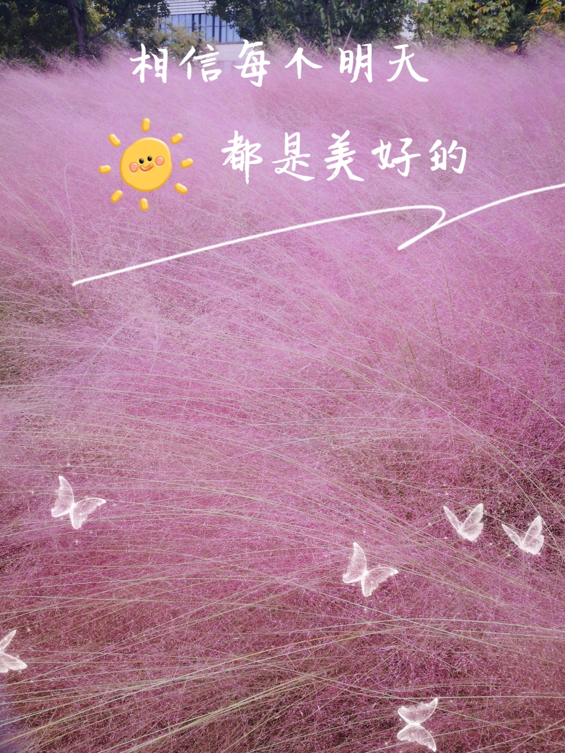 浦康休闲公园旅行图片 1