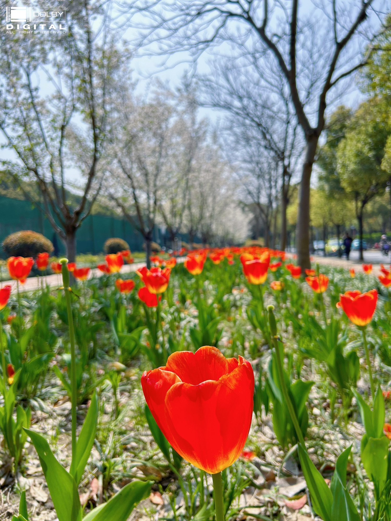 浦康休闲公园旅行图片 2