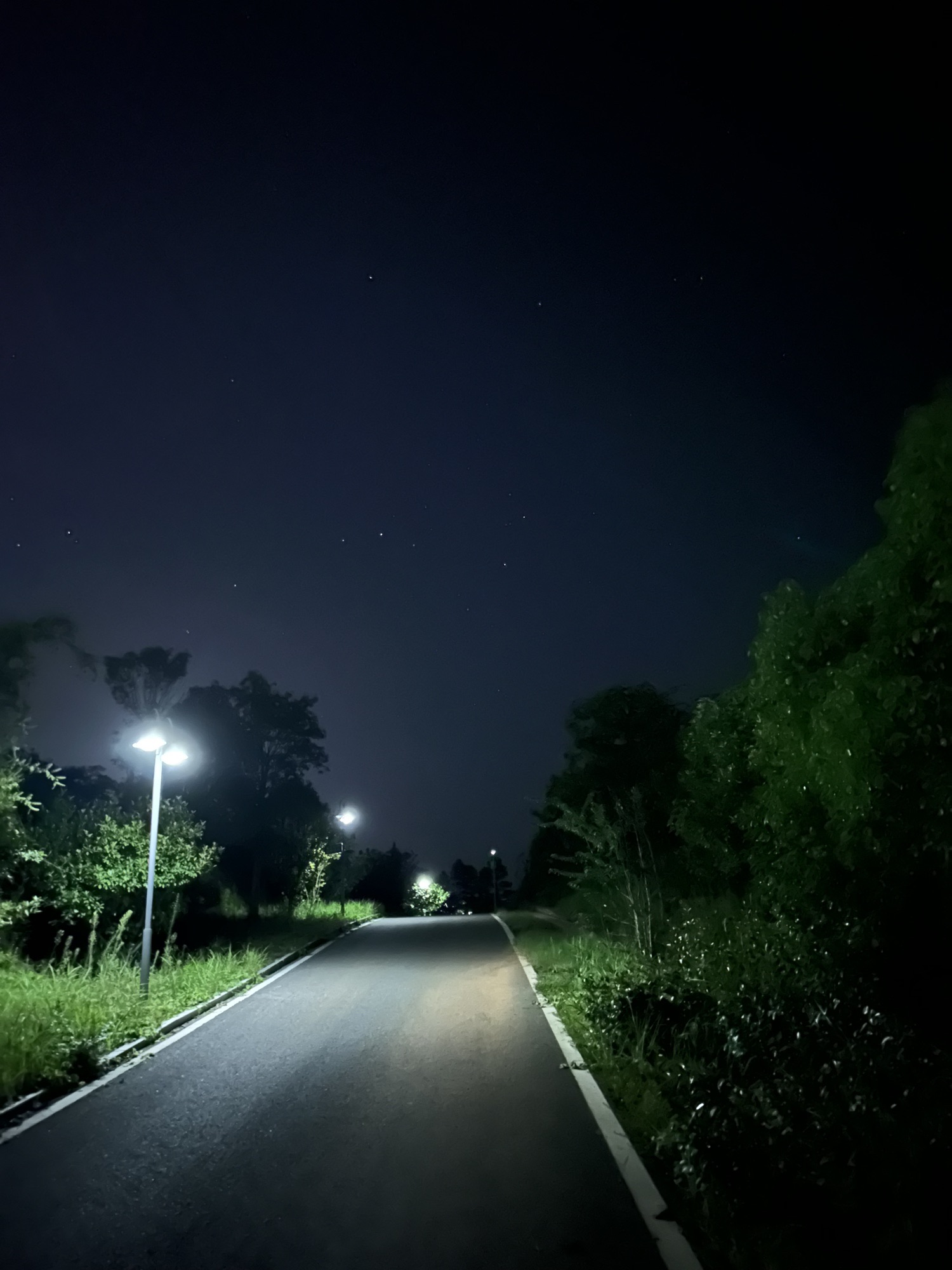 狮子山公园旅行图片 1