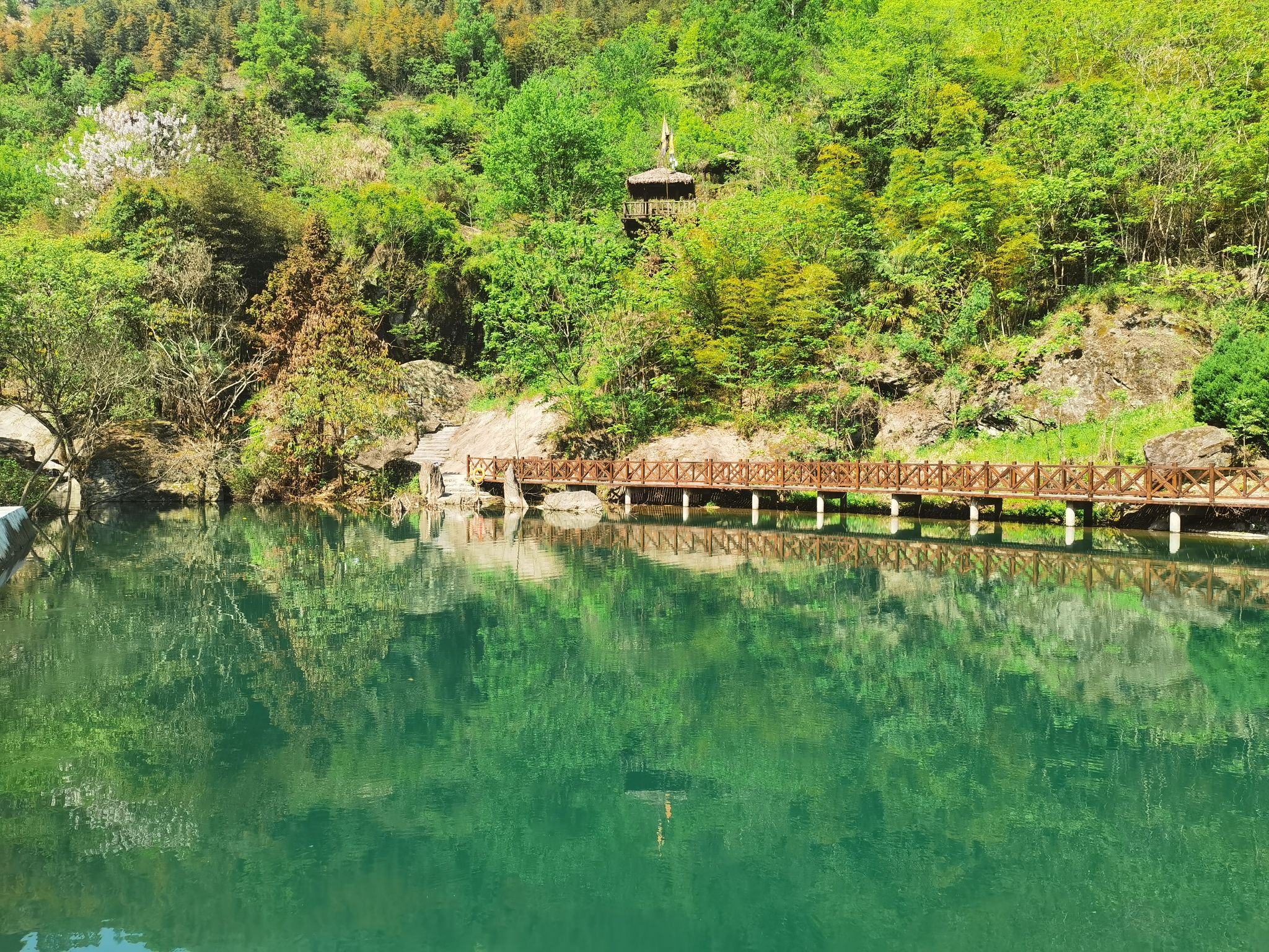 平利芍药谷景区