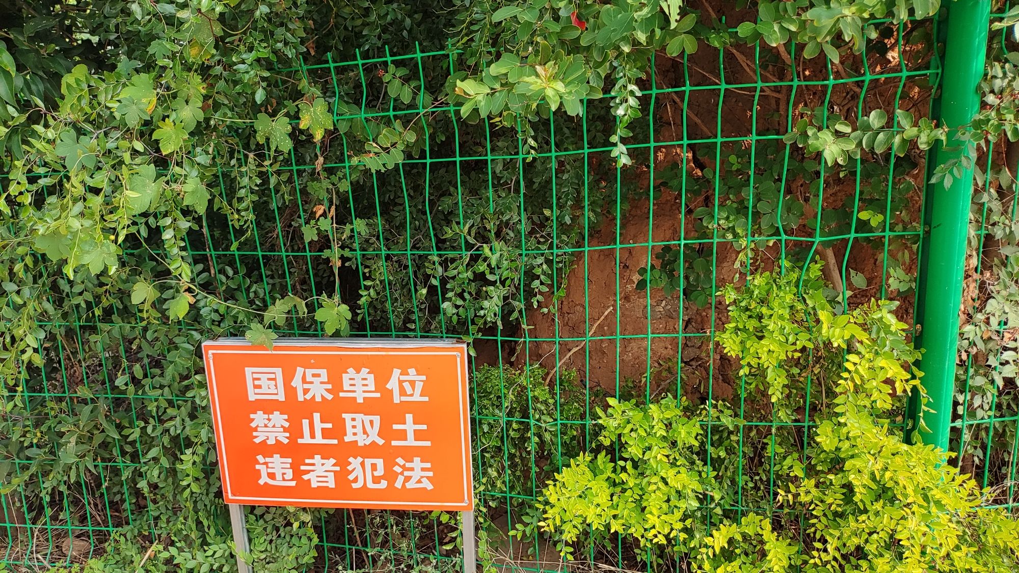 宜阳韩都故城遗址旅行图片 3