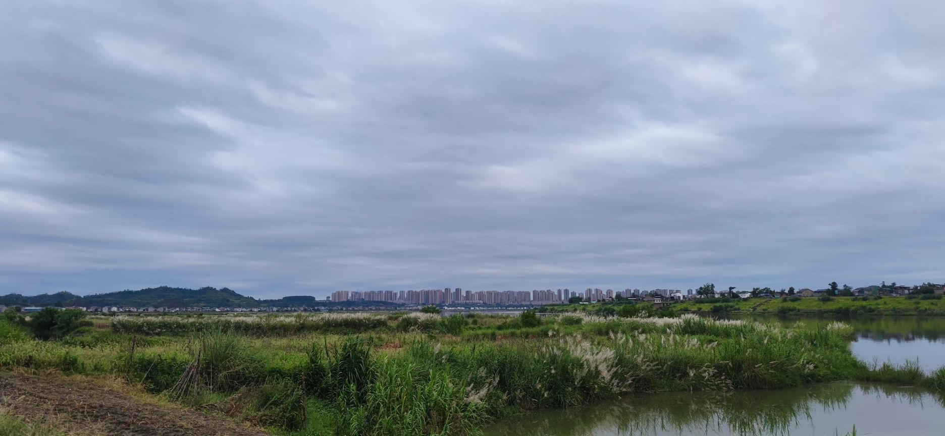 潼南蔬菜公园旅行图片 1
