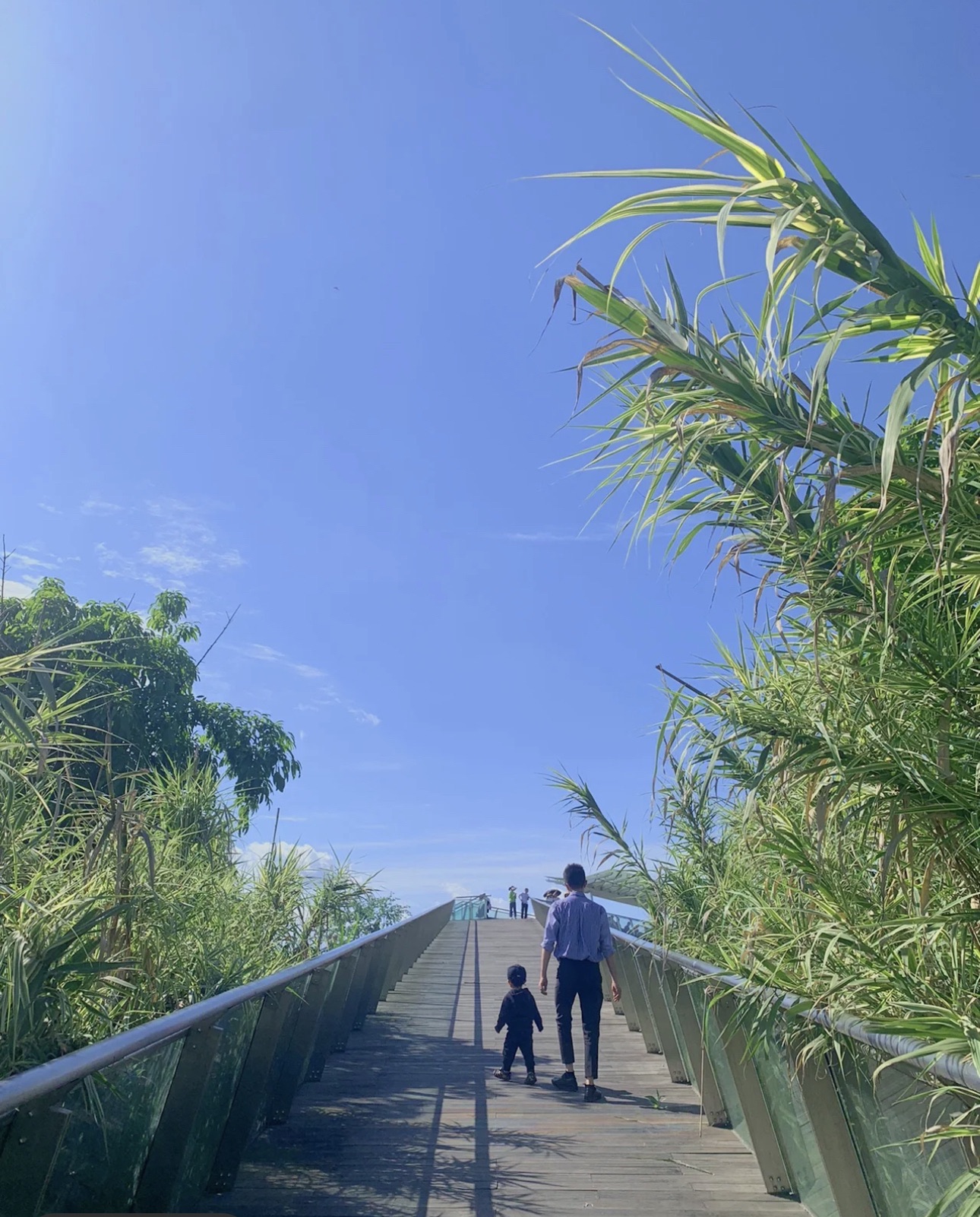 潼南蔬菜公园旅行图片 2