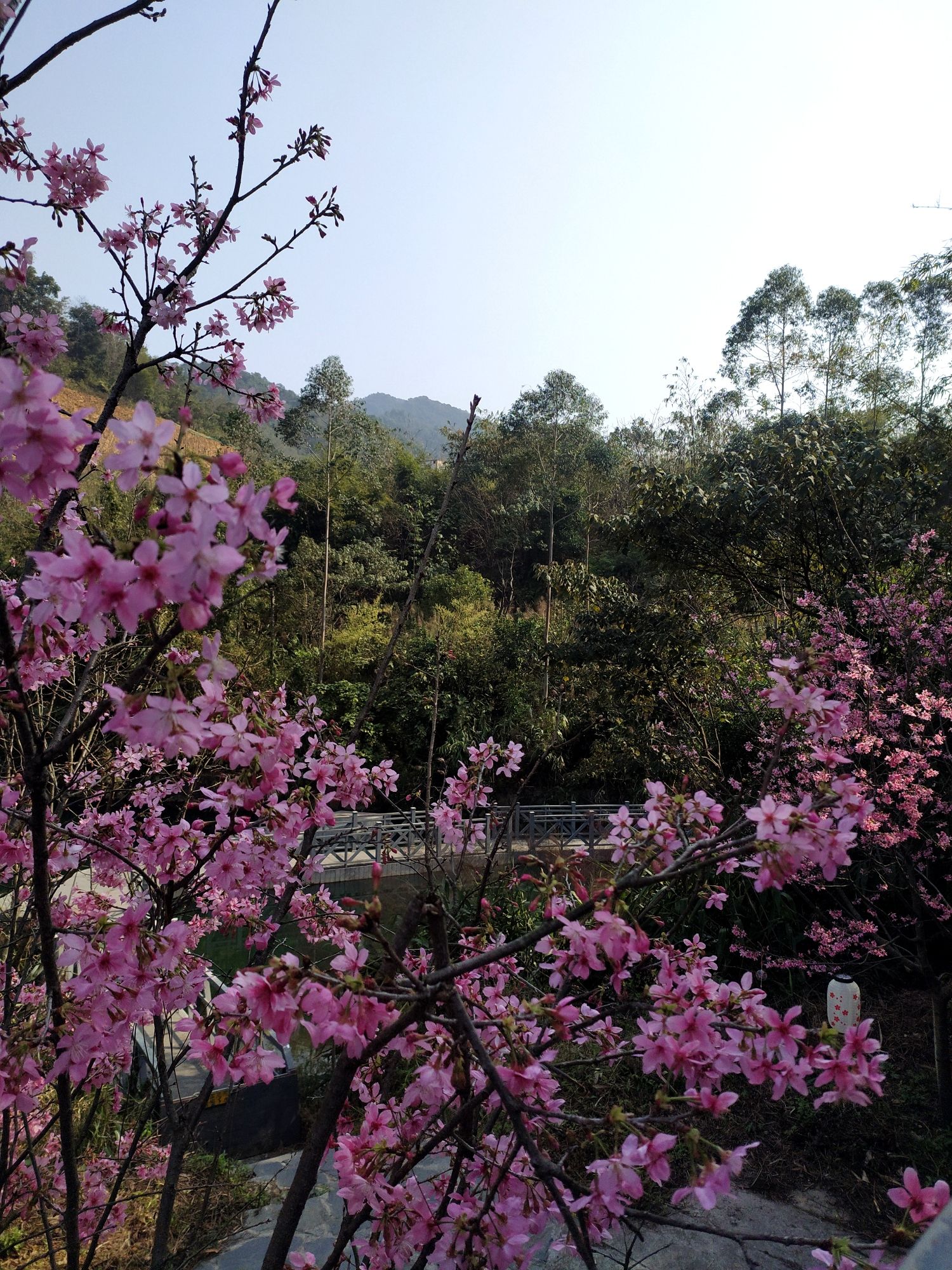 融创由心谷旅游度假区旅行图片 2