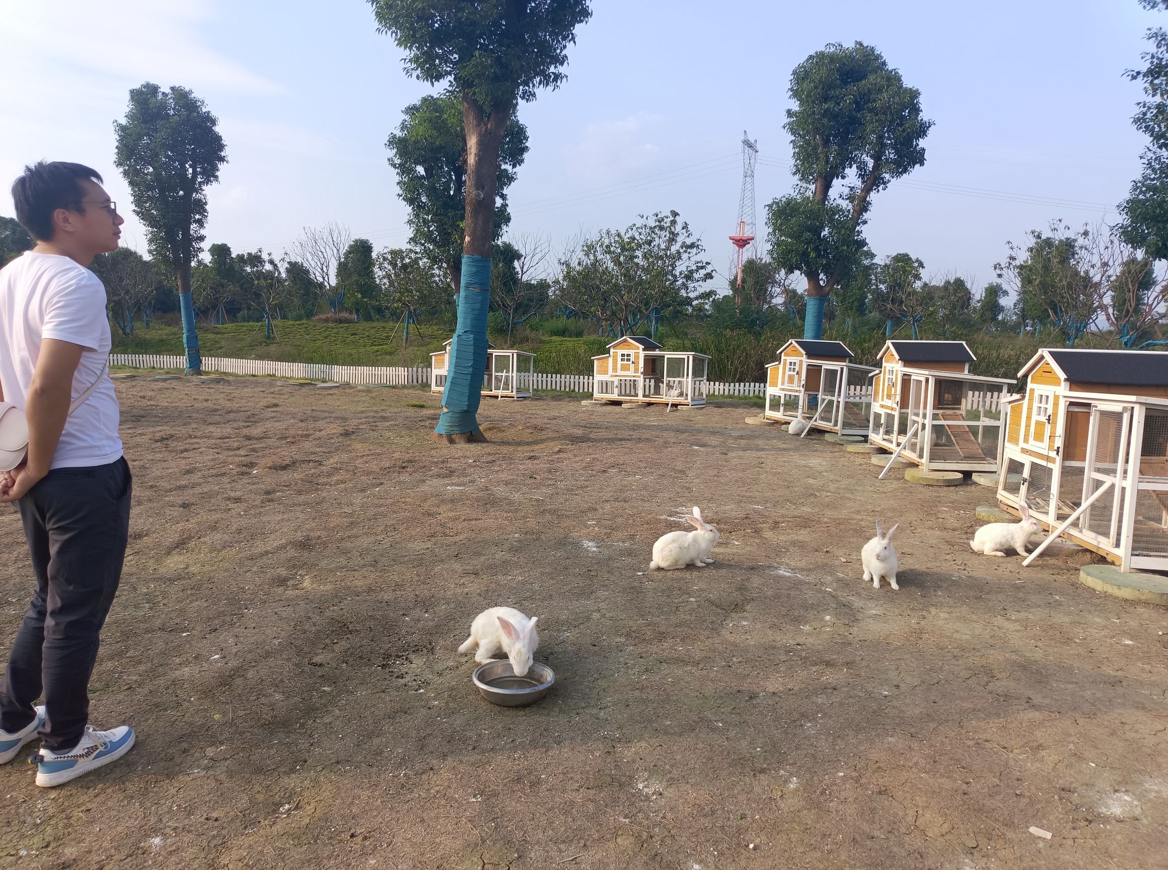 蓝禾梦幻岛度假区旅行图片 3