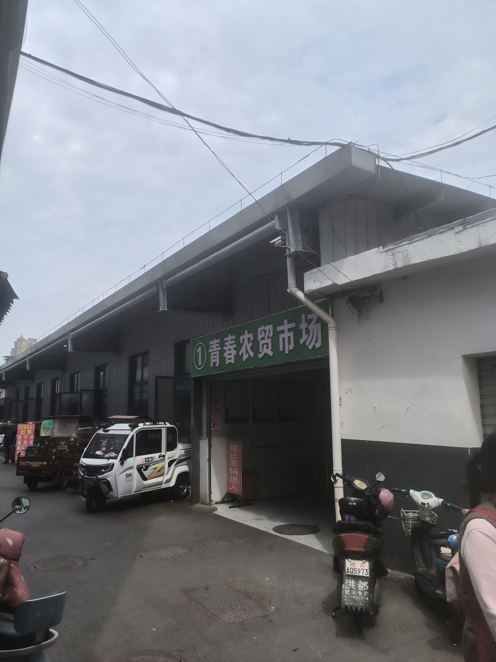 青春菜市场