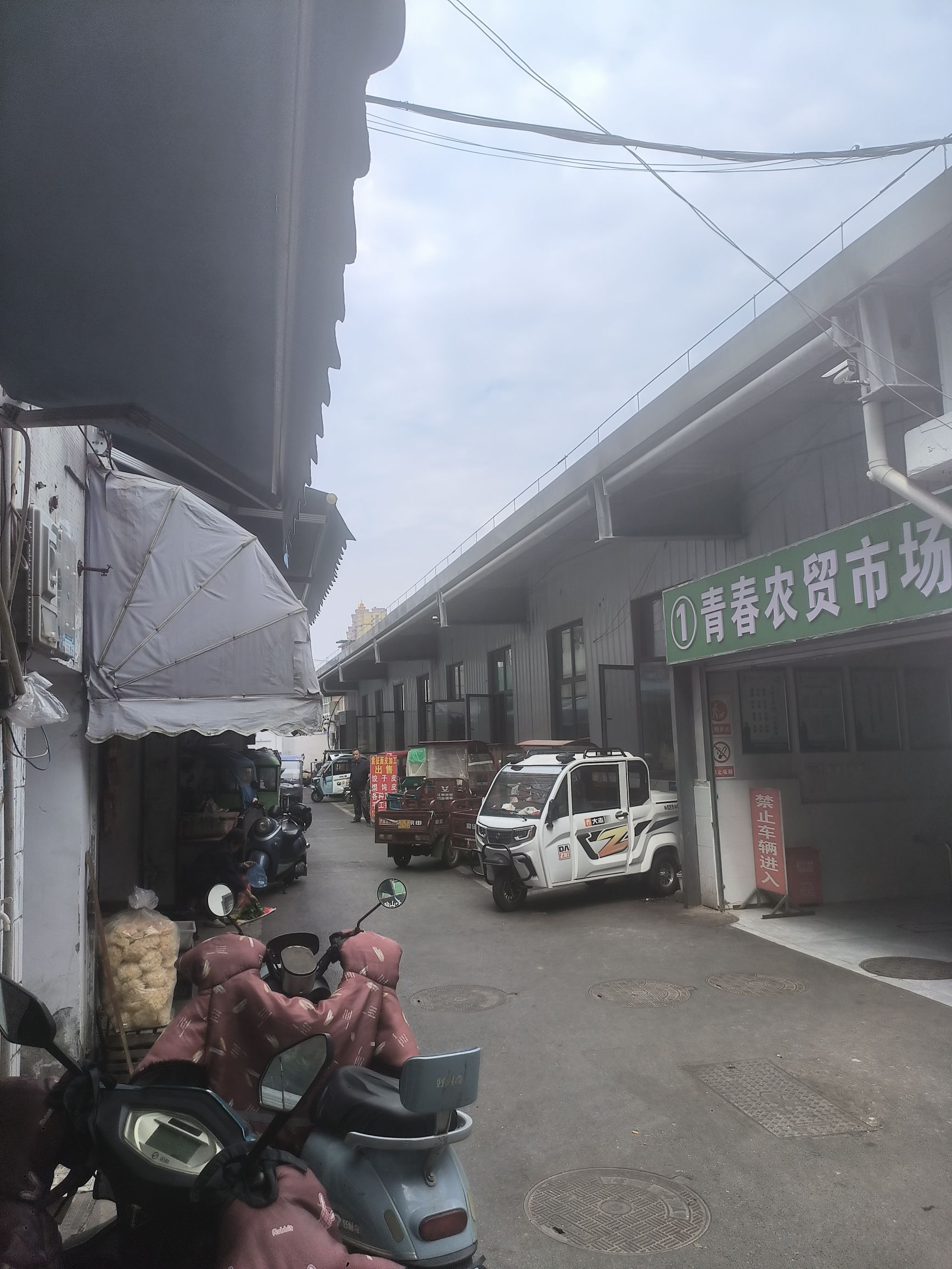 青春菜市场