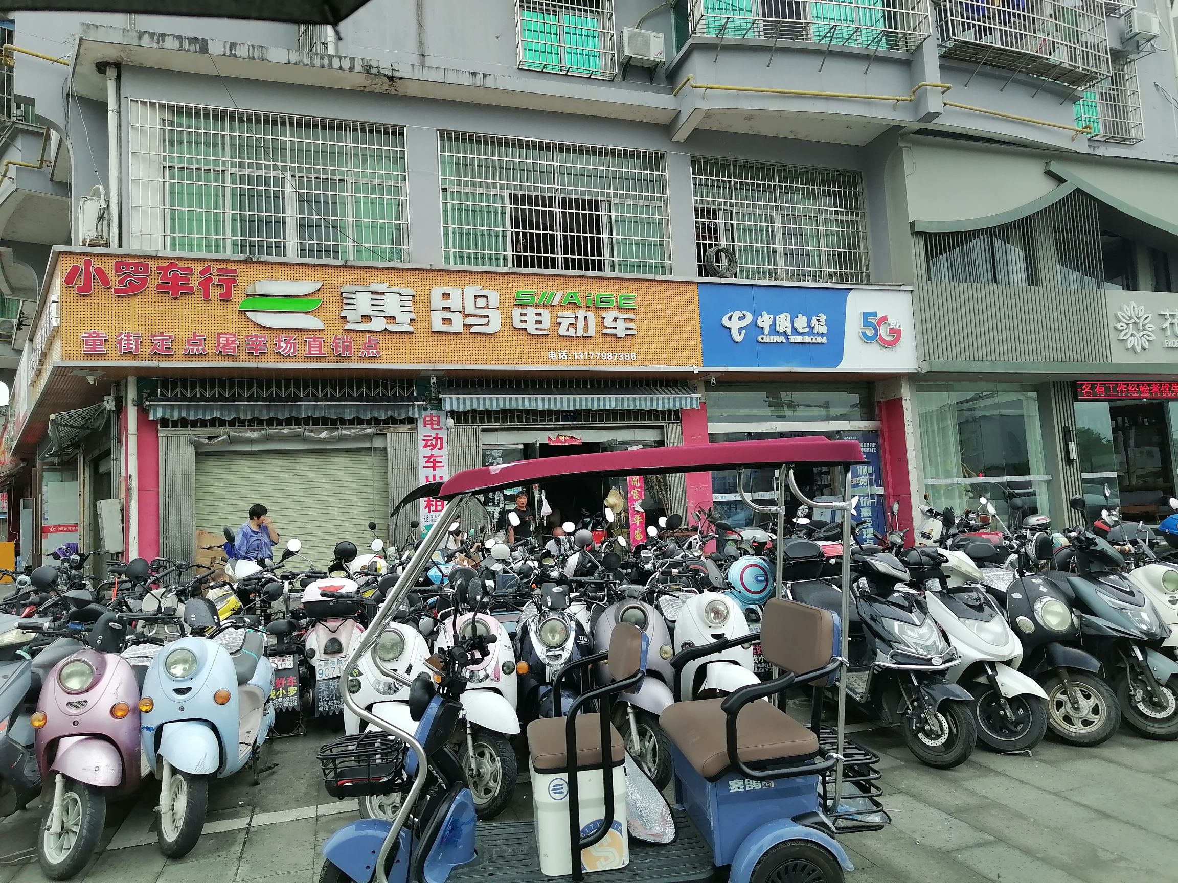 三宝村口赛鸽租电动车小罗车行