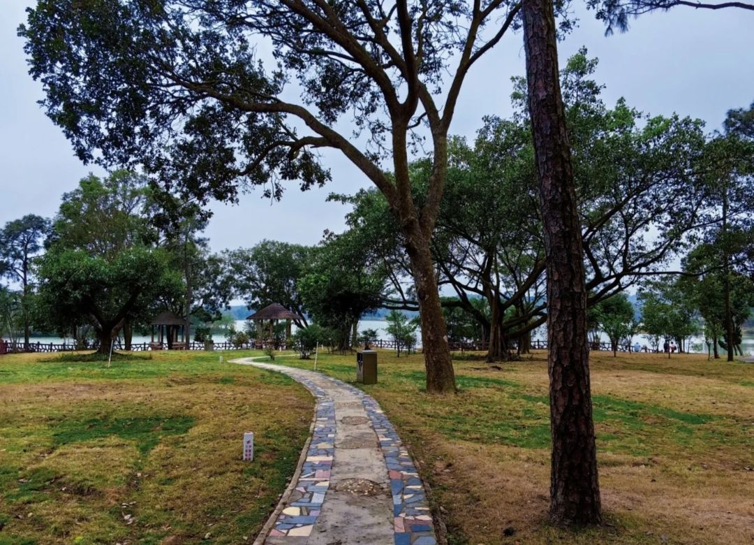 湛川森林公园旅行图片 2