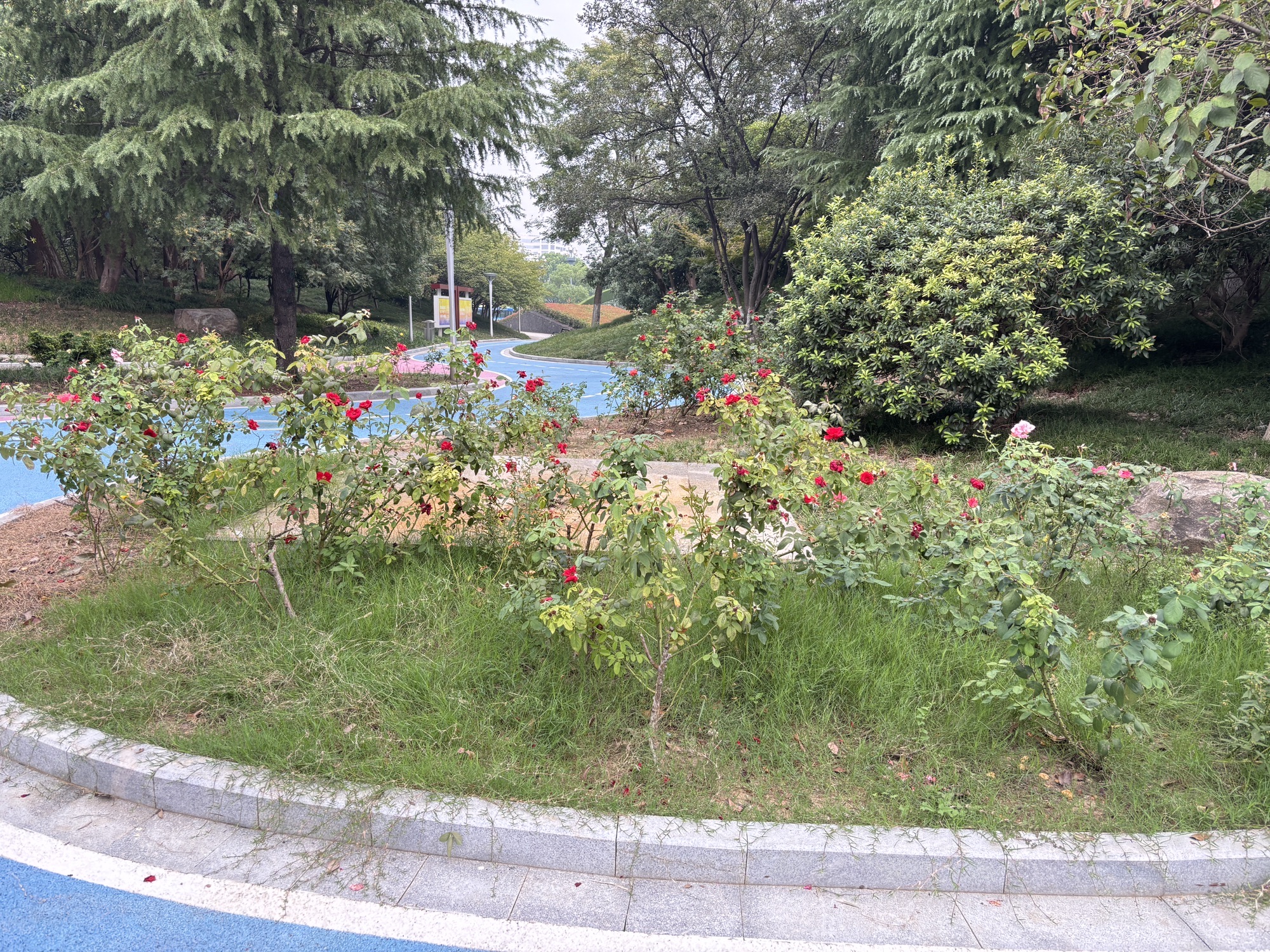 武进法治文化园旅行图片 2