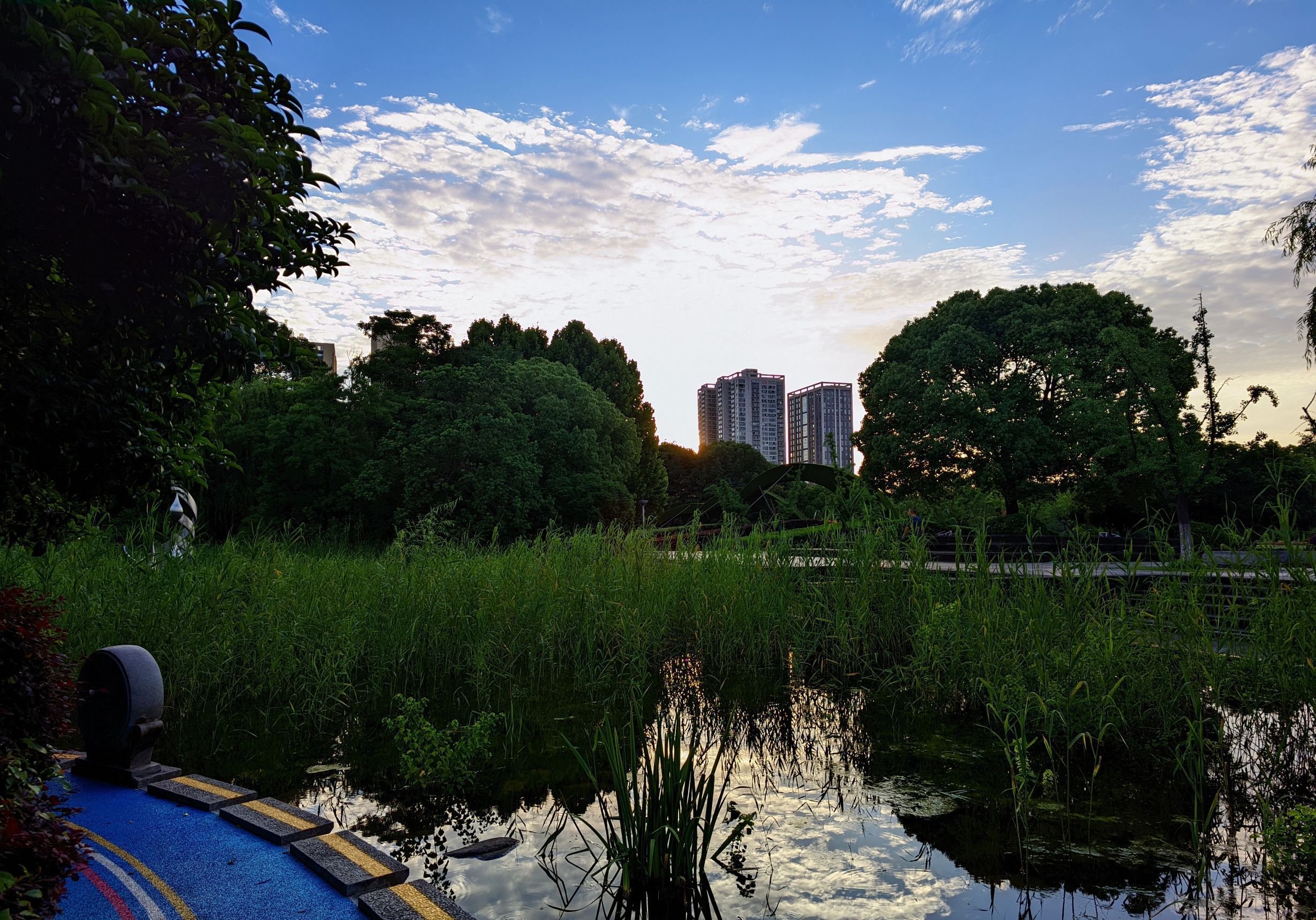 武进法治文化园旅行图片 1