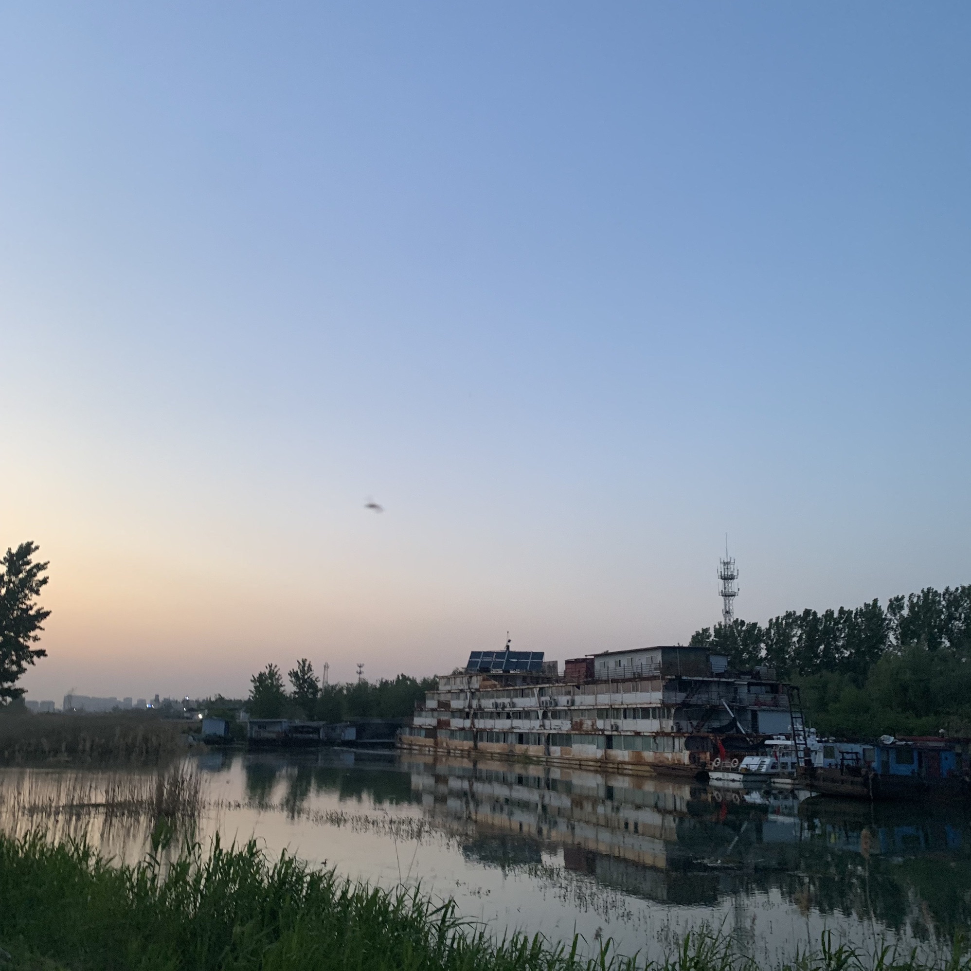 荷塘月色啤酒广场旅行图片 1